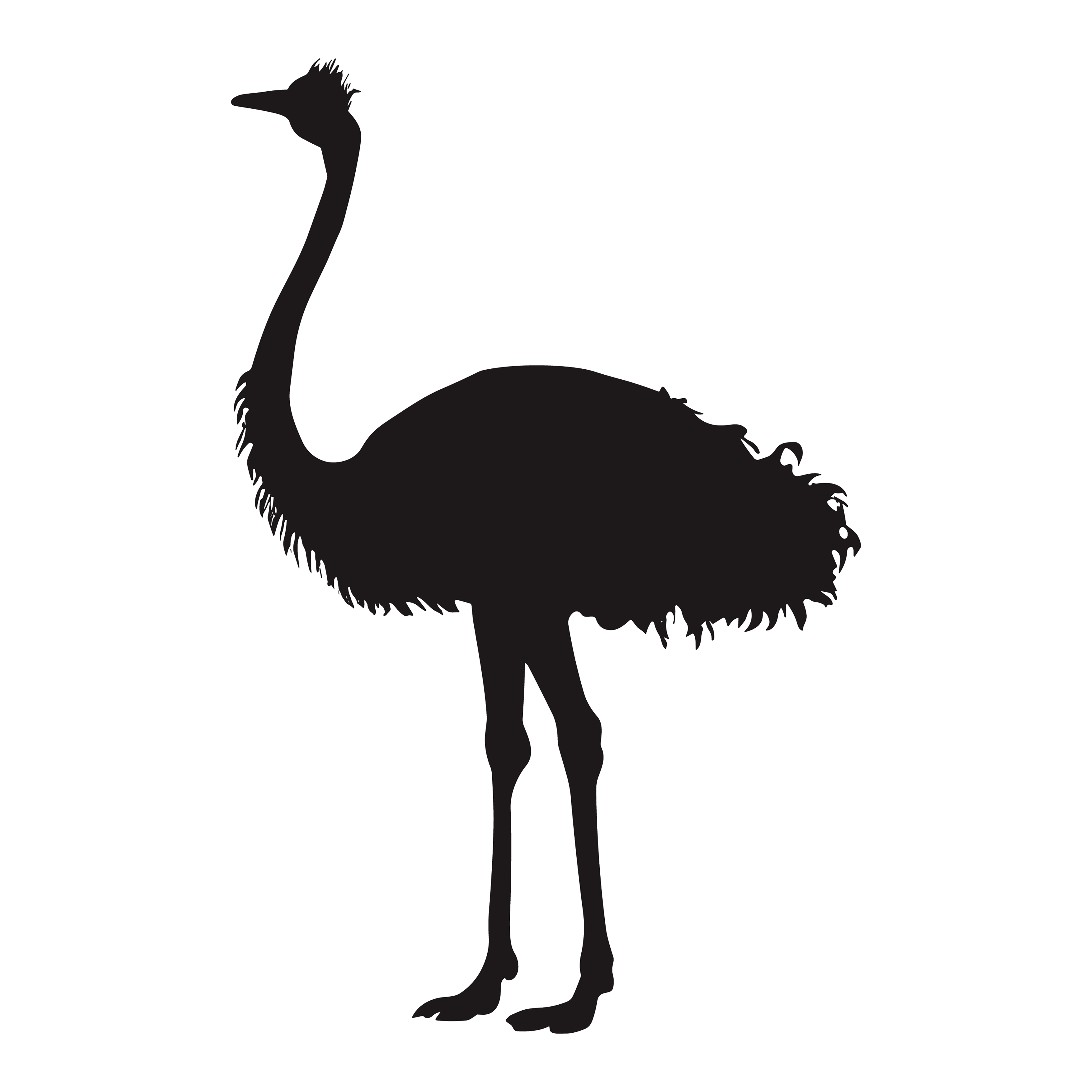 Ostrich customizable silhouettes set design #36951