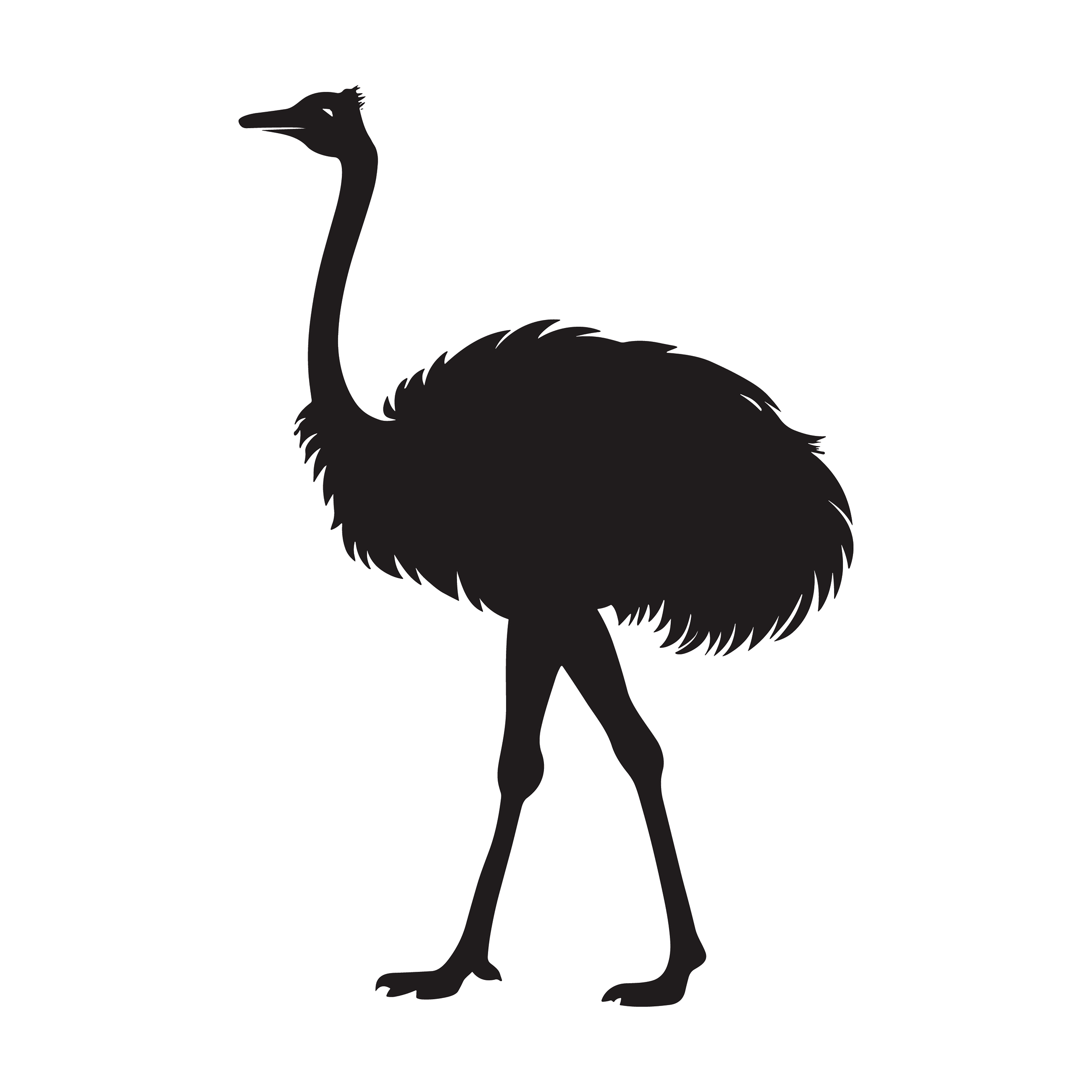 Ostrich customizable silhouettes set design #36952