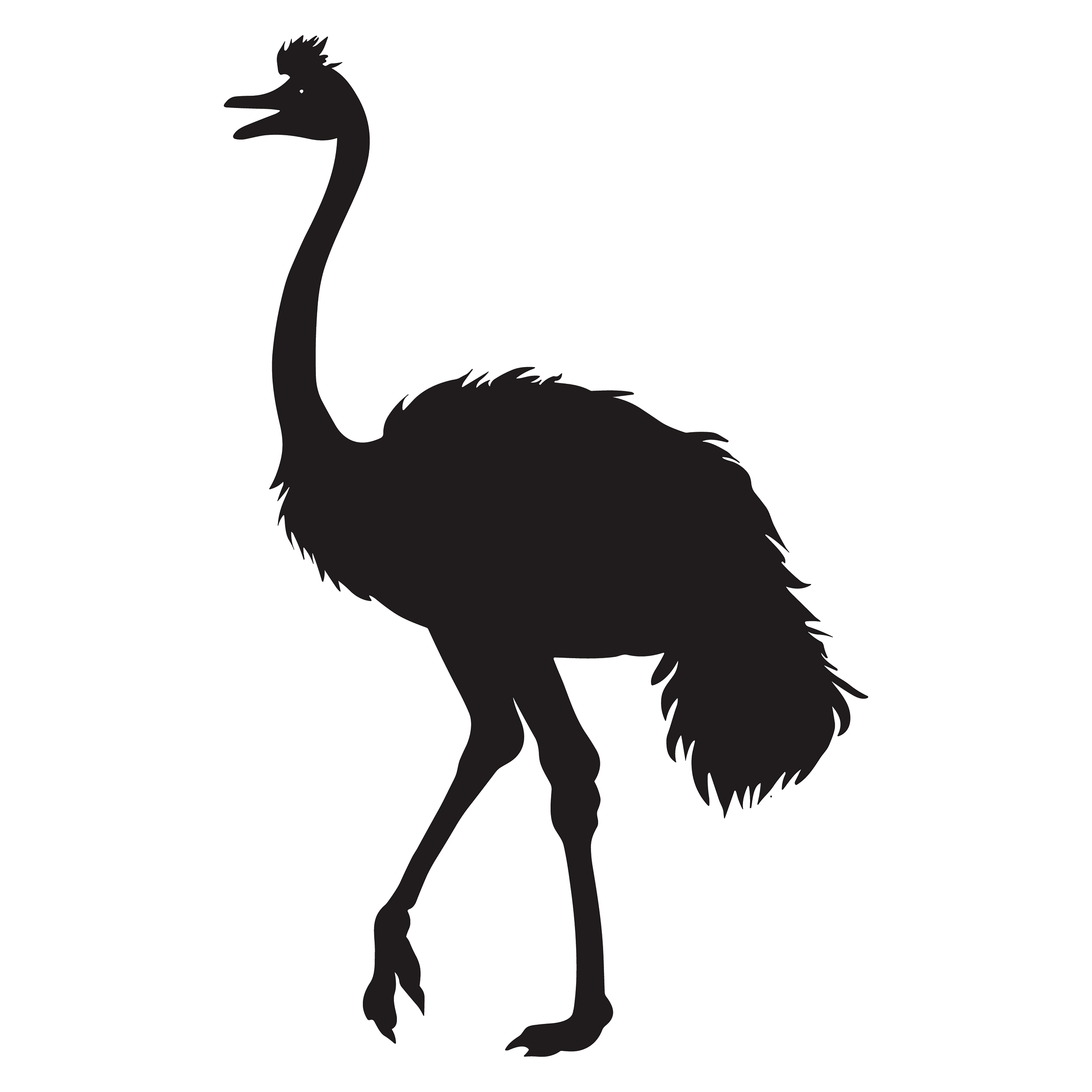 Ostrich customizable silhouettes set design #36955