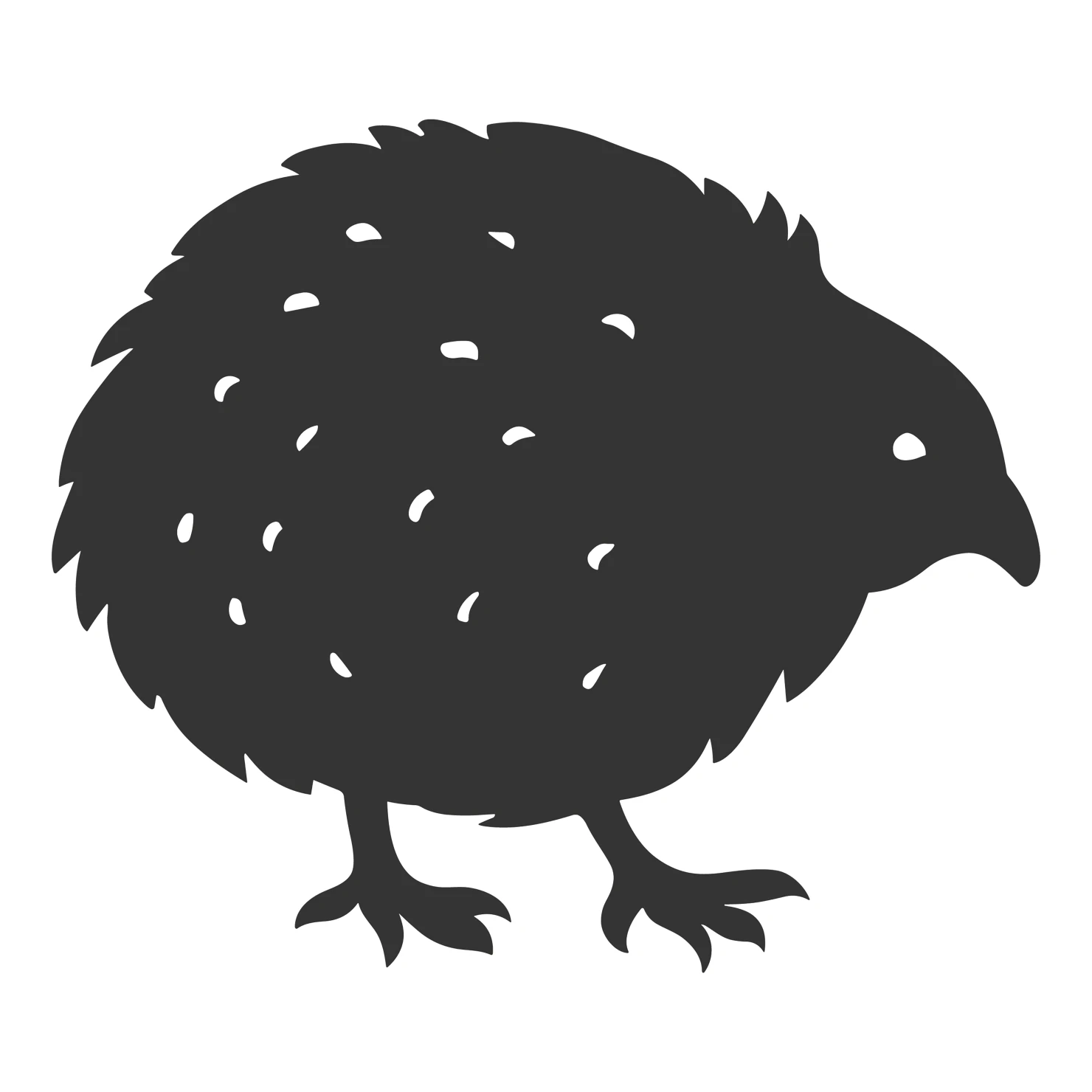 Kiwi customizable silhouettes set design #36721