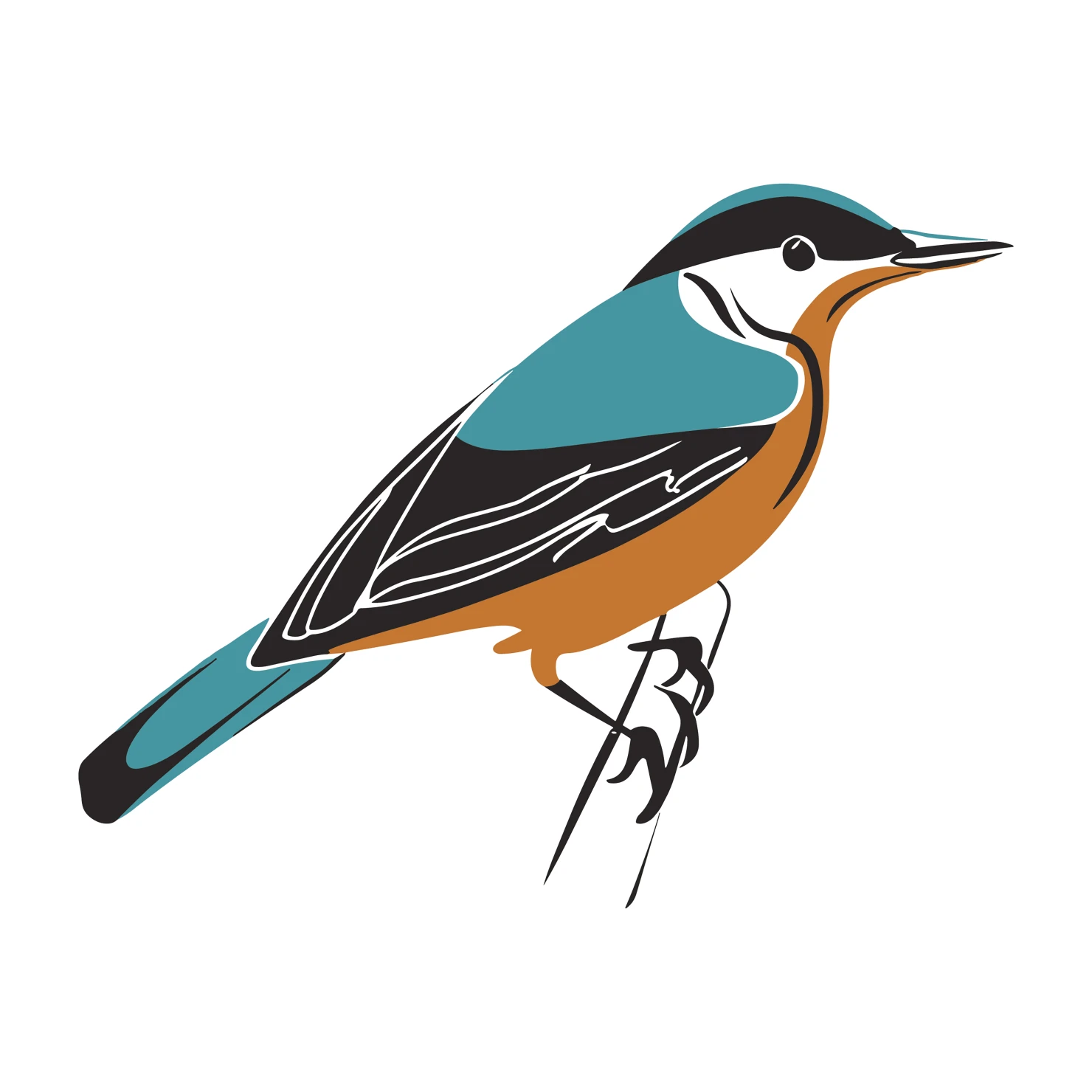 Nuthatch bird customizable clip art set design #36727