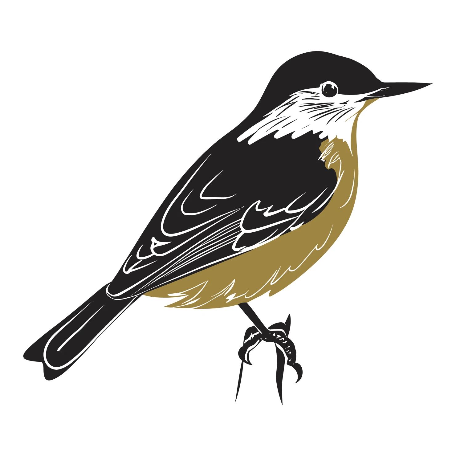 Nuthatch bird customizable clip art set design #36730