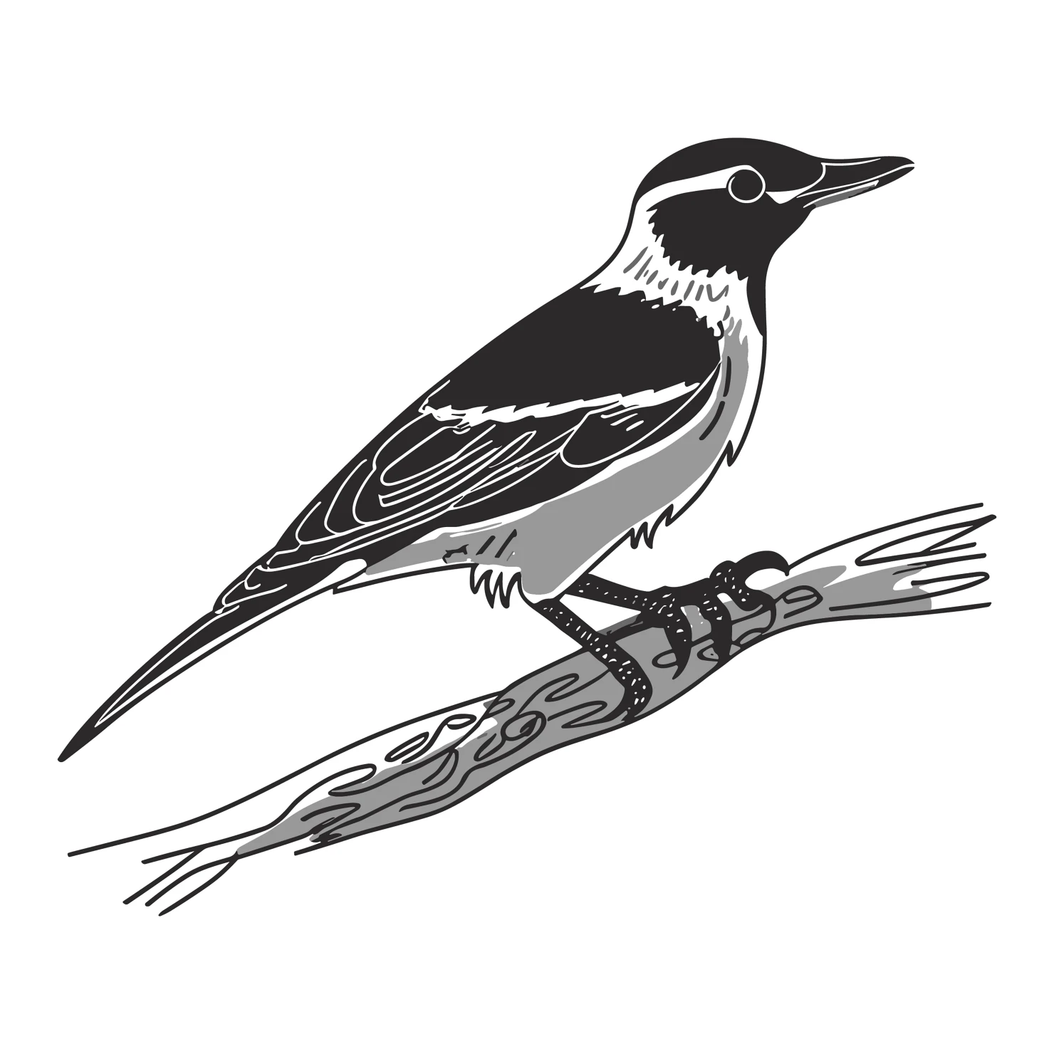 Nuthatch bird customizable clip art set design #36733