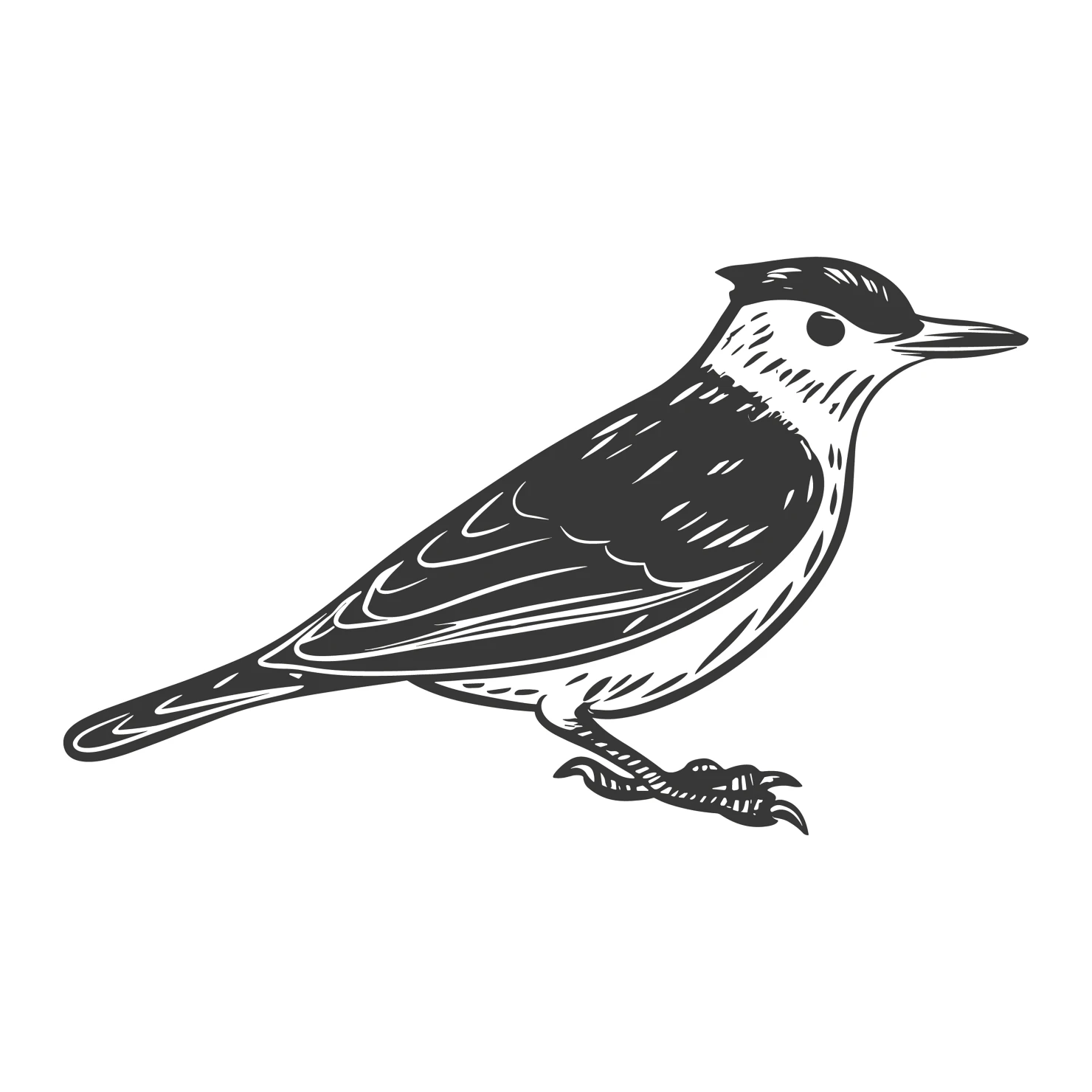 Nuthatch bird customizable clip art set design #36735