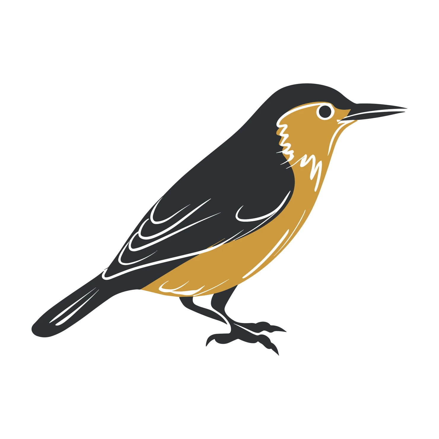 Nuthatch bird customizable clip art set design #36736