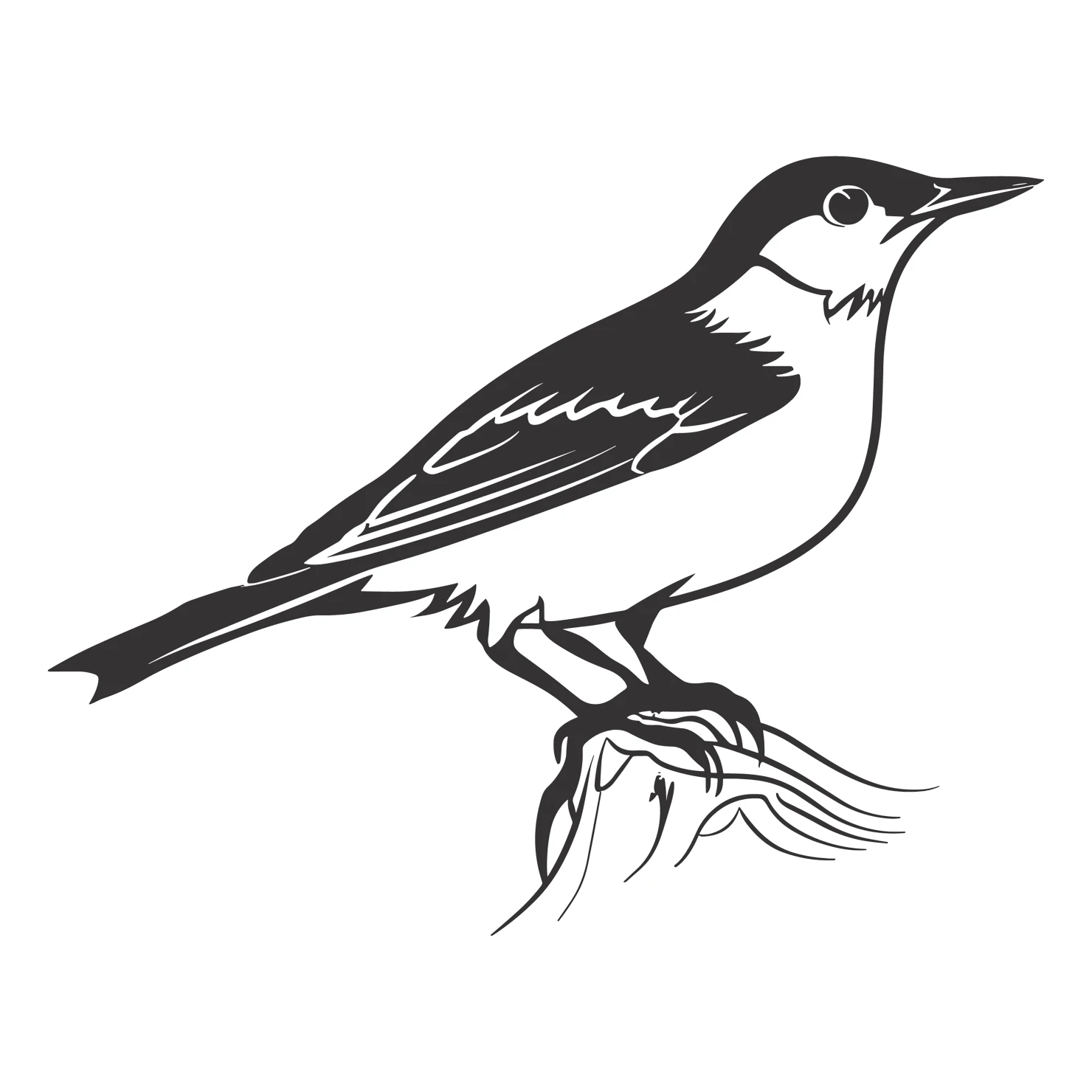 Nuthatch bird customizable clip art set design #36739