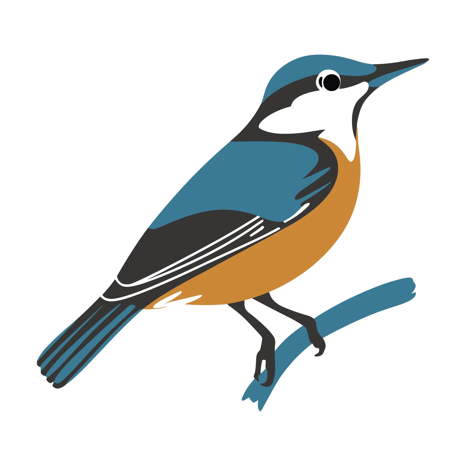 Nuthatch bird customizable clip art set design #36741