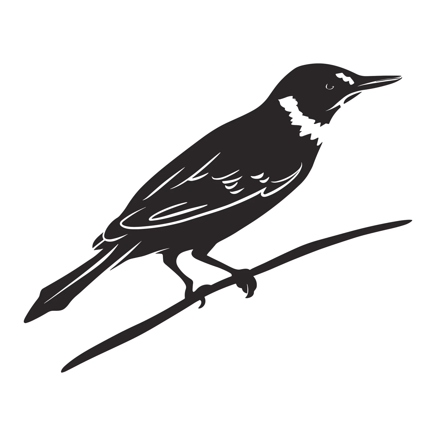 Nuthatch bird customizable clip art set design #36744