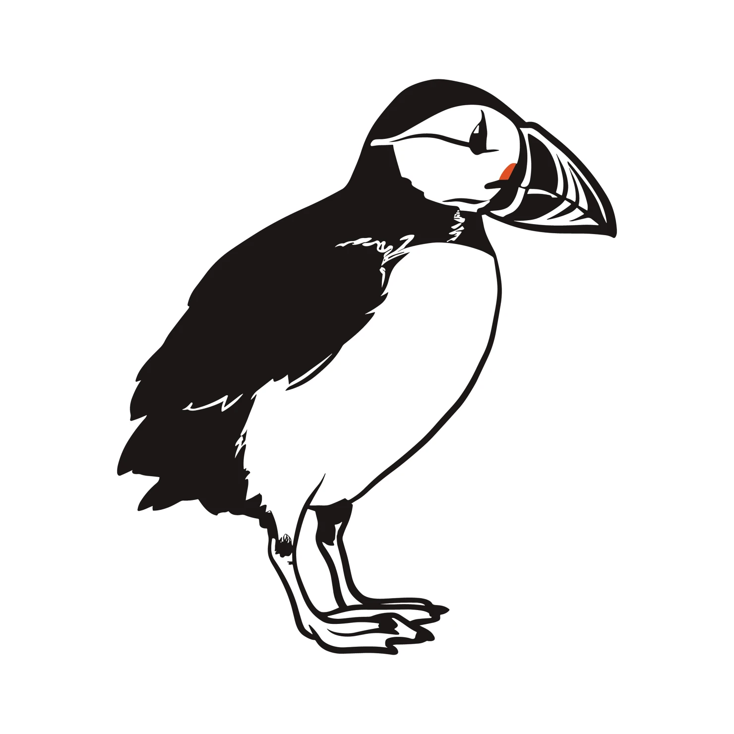Puffin customizable clip art set design #36746