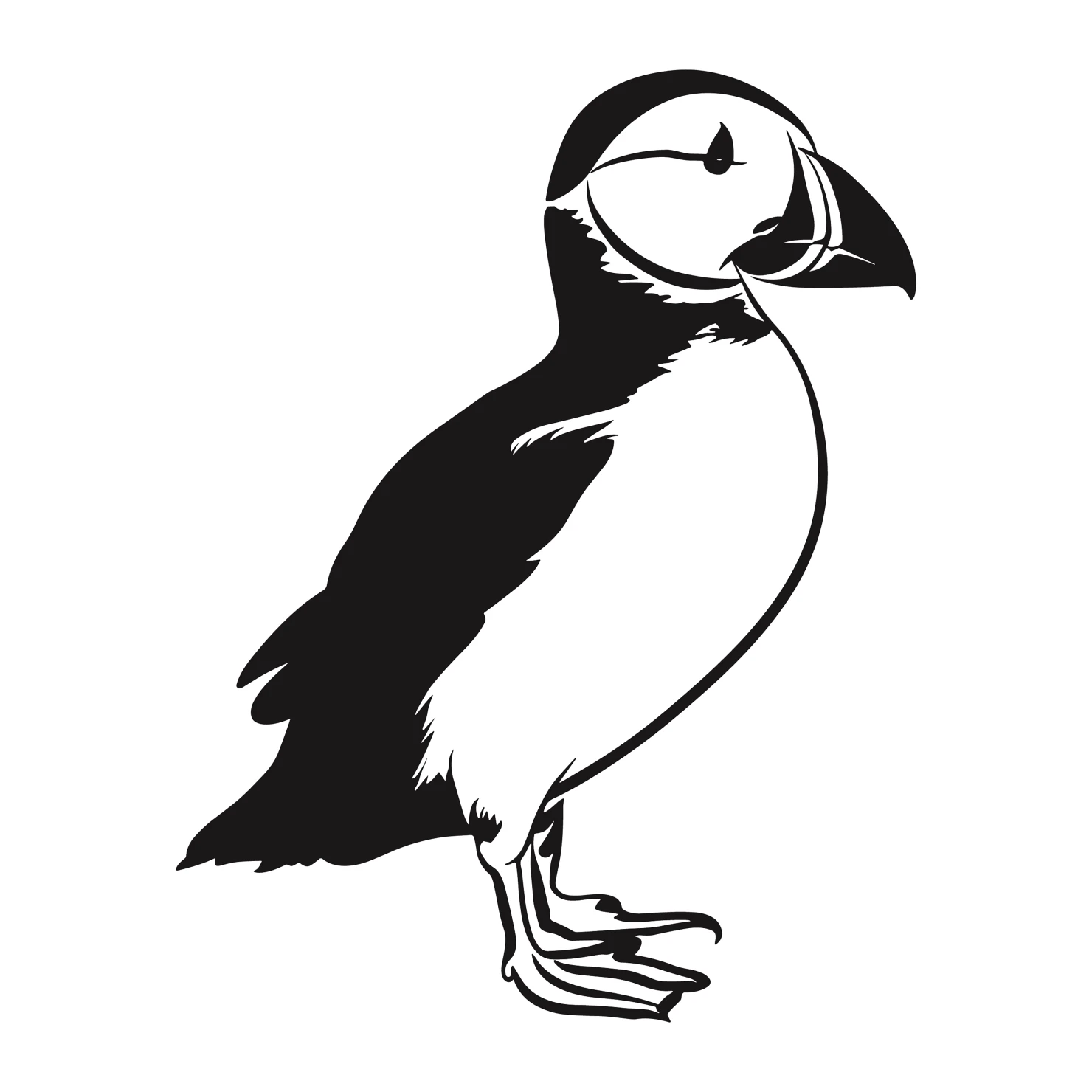 Puffin customizable clip art set design #36747