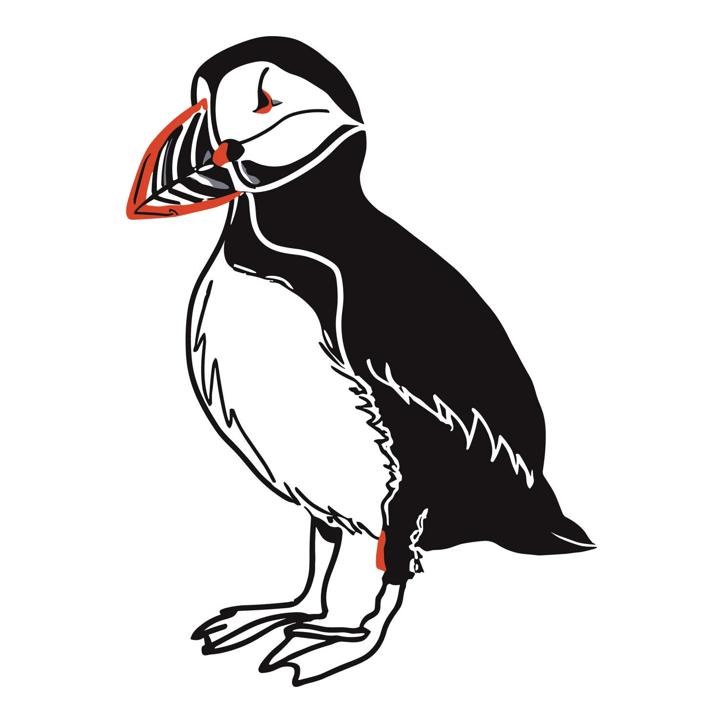 Puffin customizable clip art set design #36755