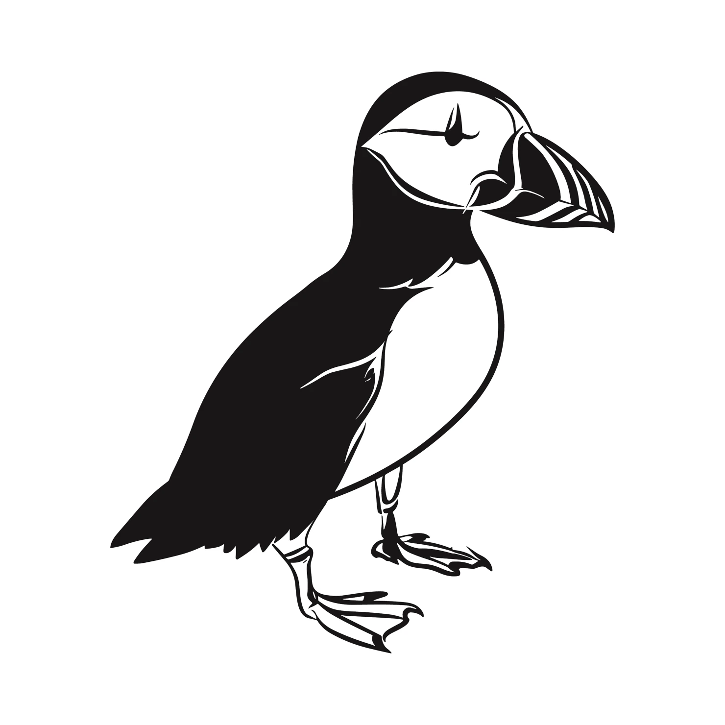 Puffin customizable clip art set design #36756