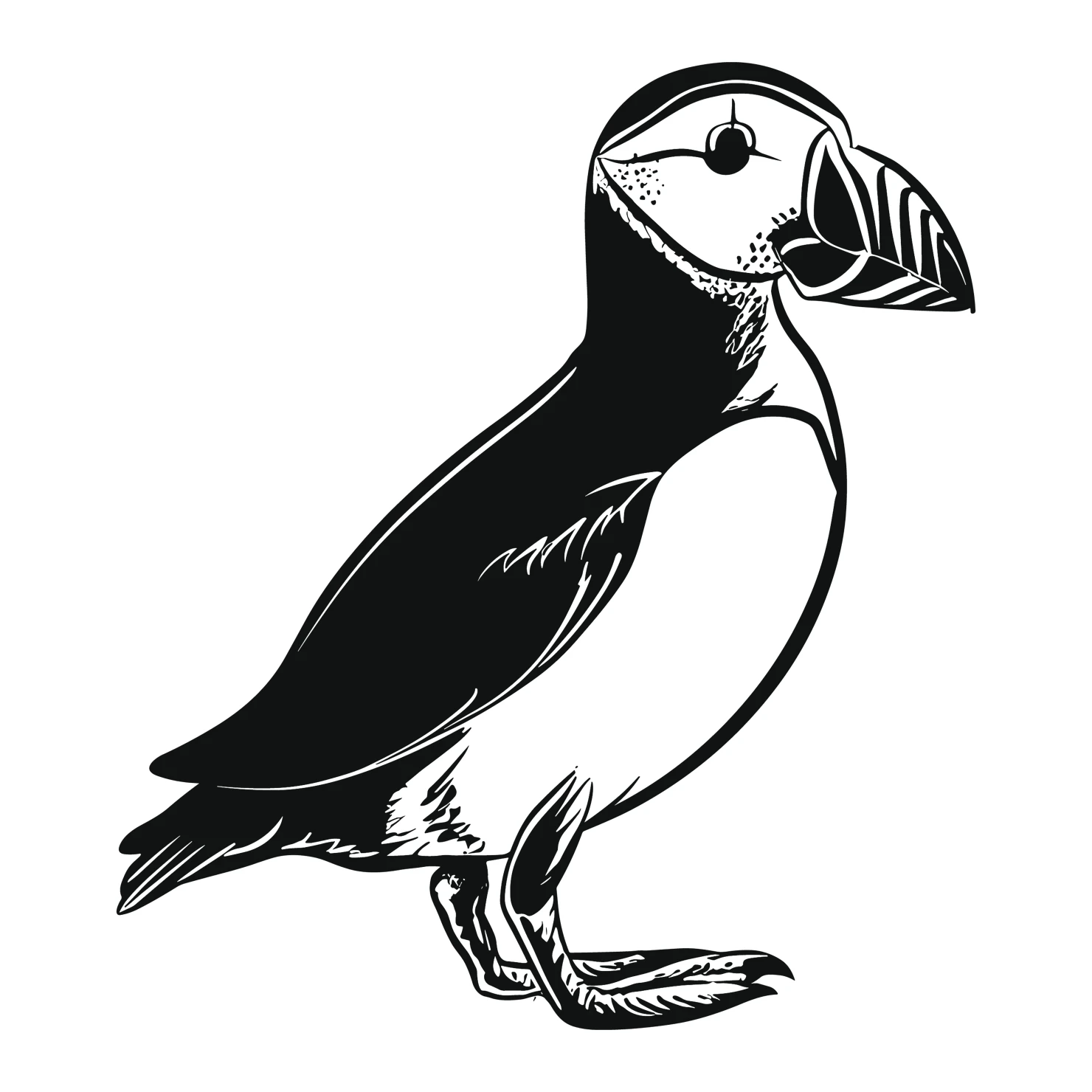 Puffin customizable clip art set design #36759