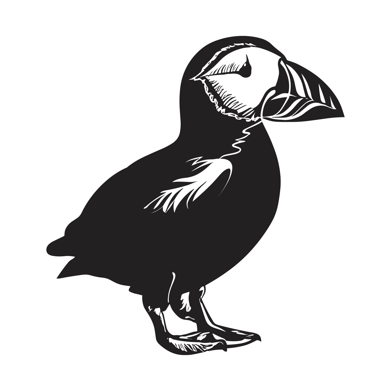 Puffin customizable clip art set design #36763