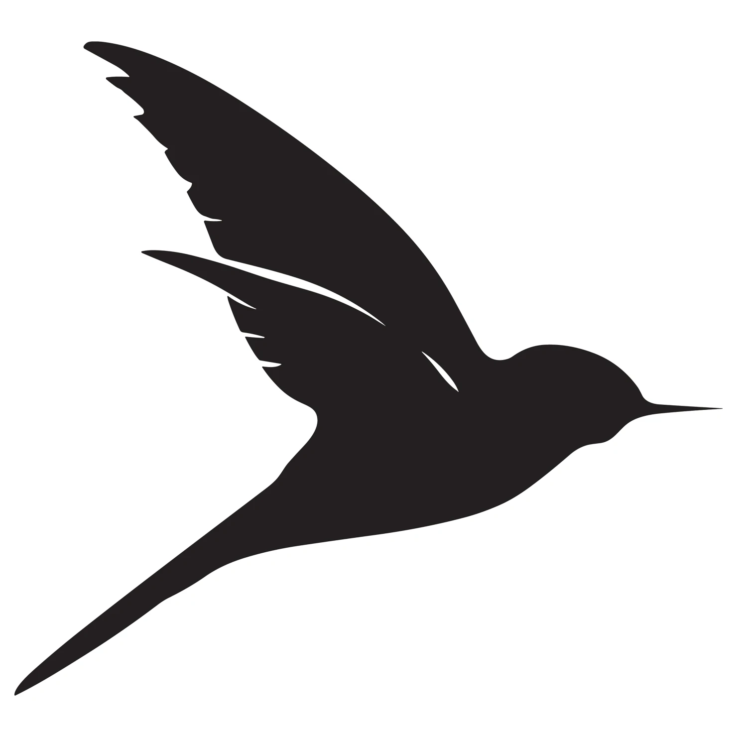 Swallow customizable silhouettes set design #36768