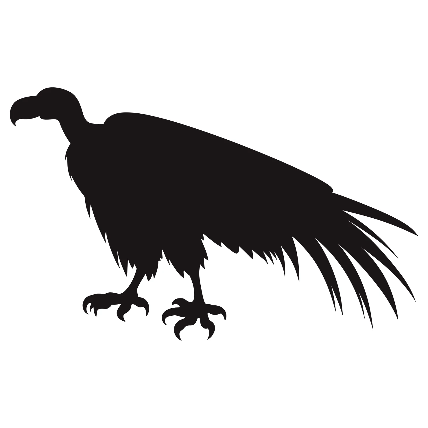 Vulture customizable silhouettes set design #36788