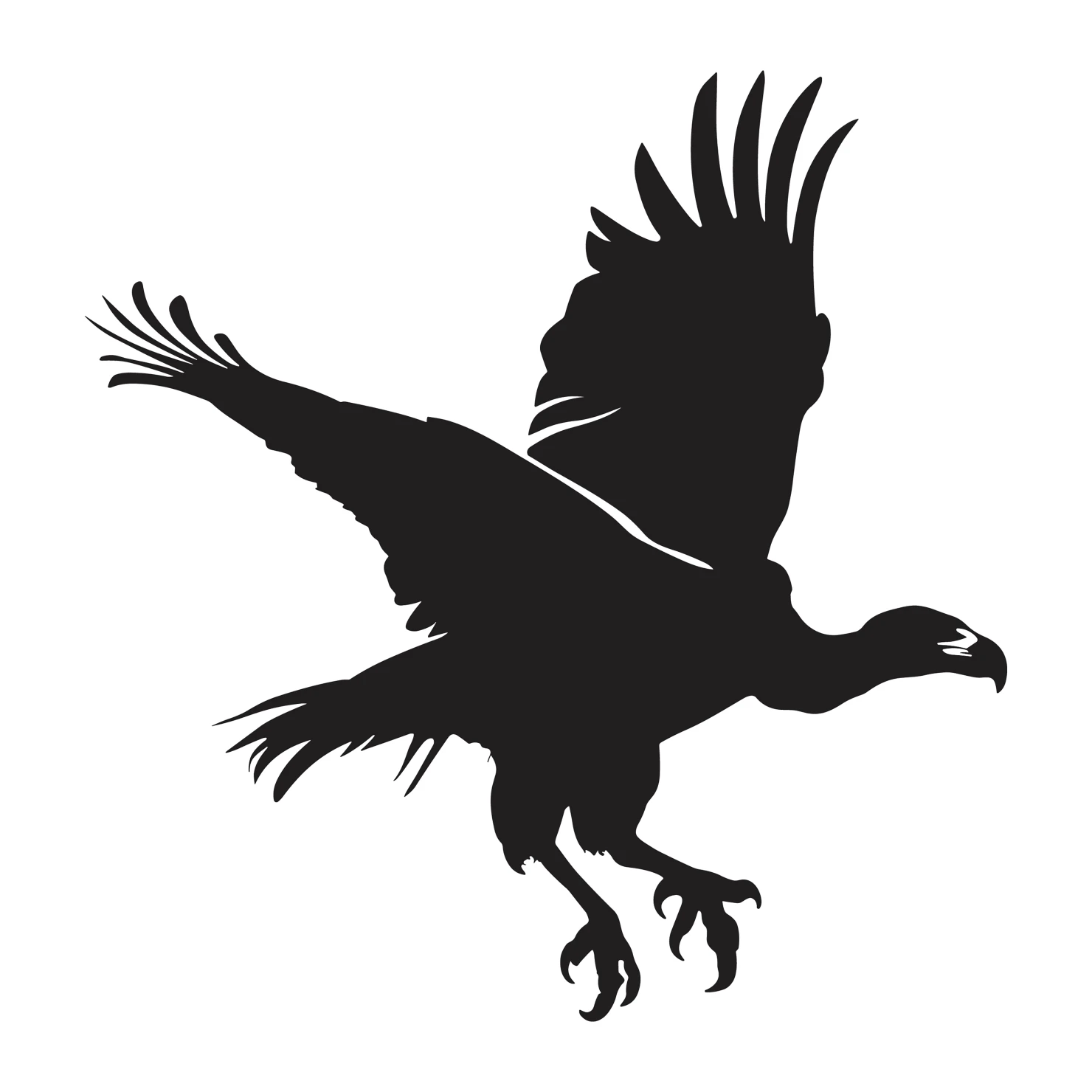 Vulture customizable silhouettes set design #36793