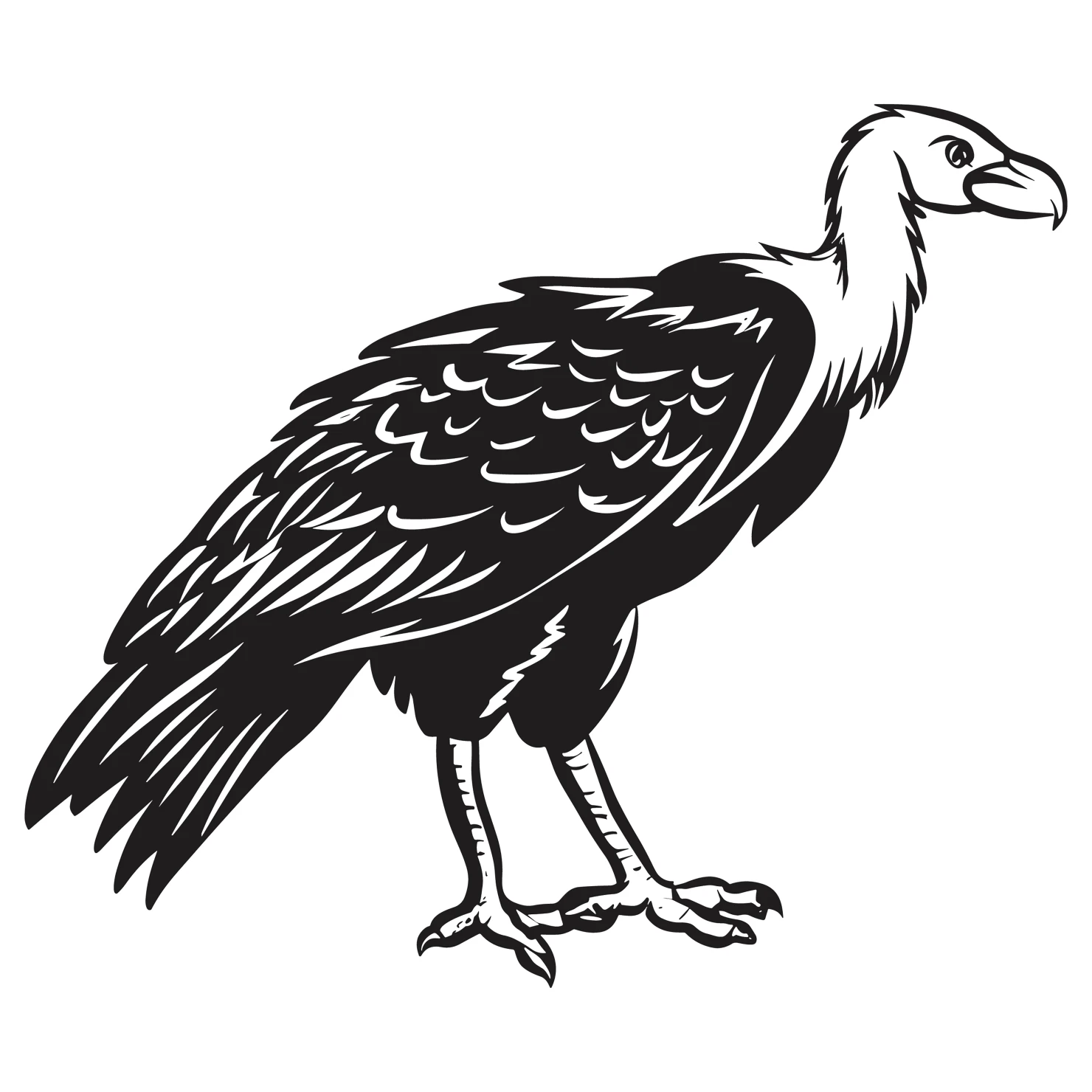 Vulture customizable clip art set design #36801