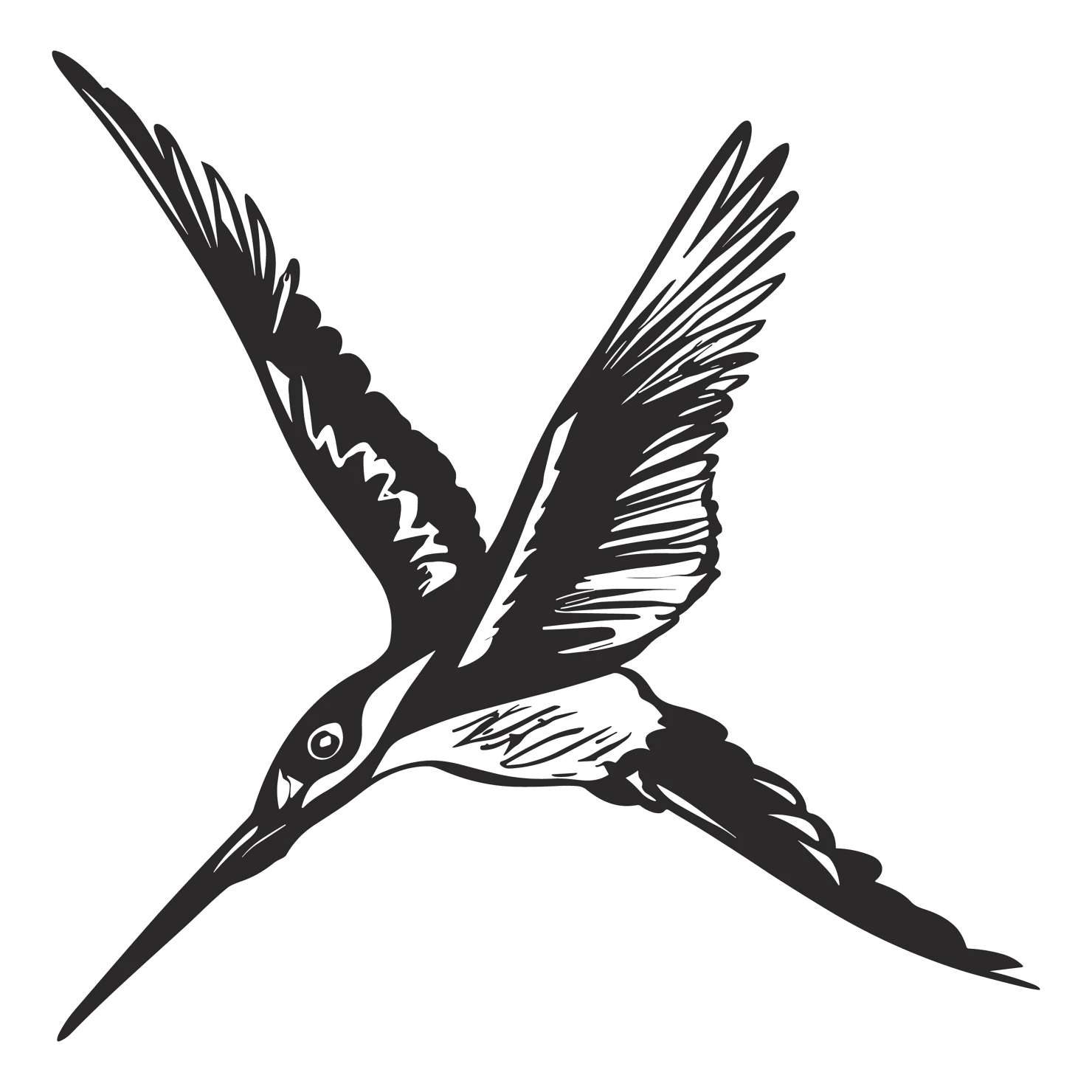 Woodpecker customizable  clip art set design #36805