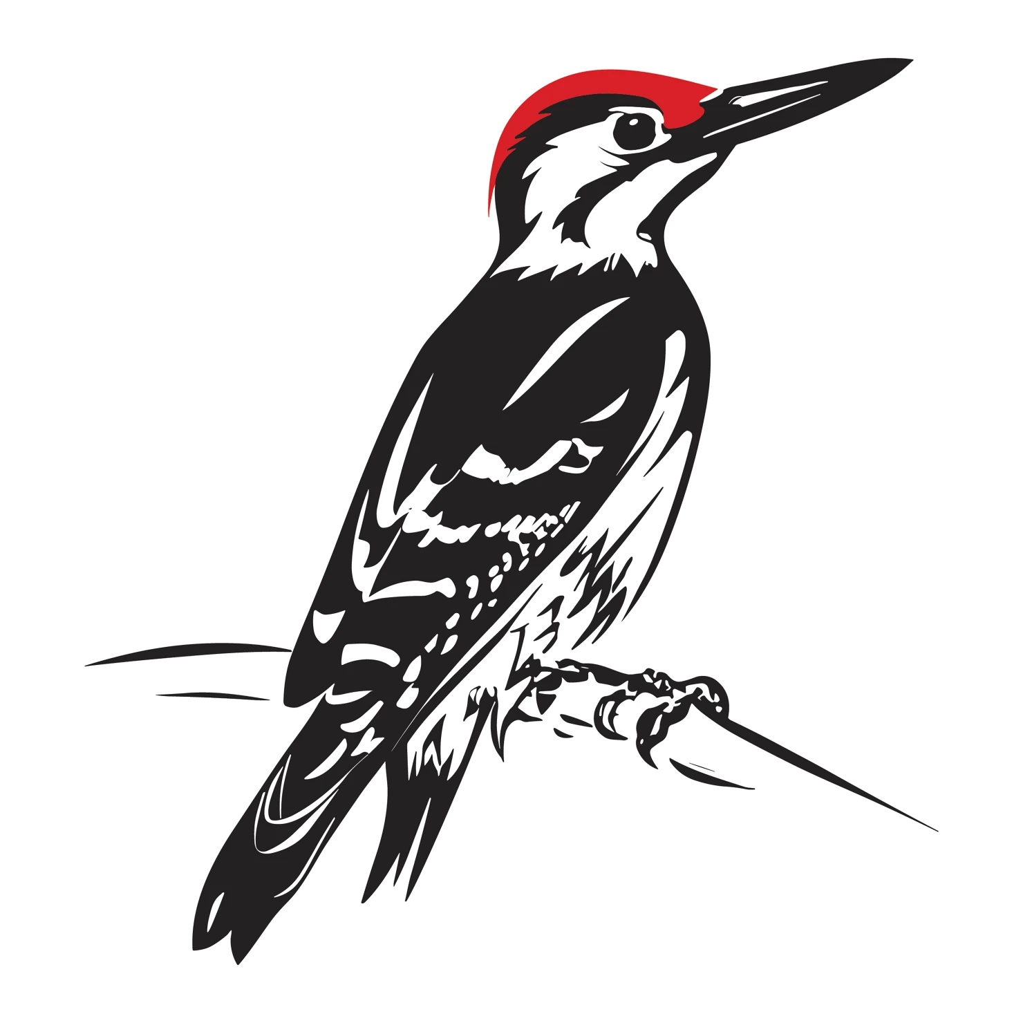 Woodpecker customizable  clip art set design #36806