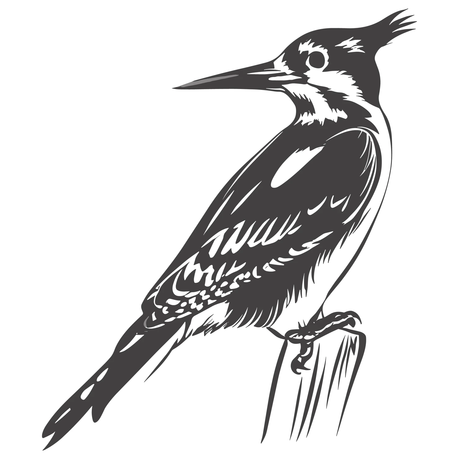 Woodpecker customizable  clip art set design #36807