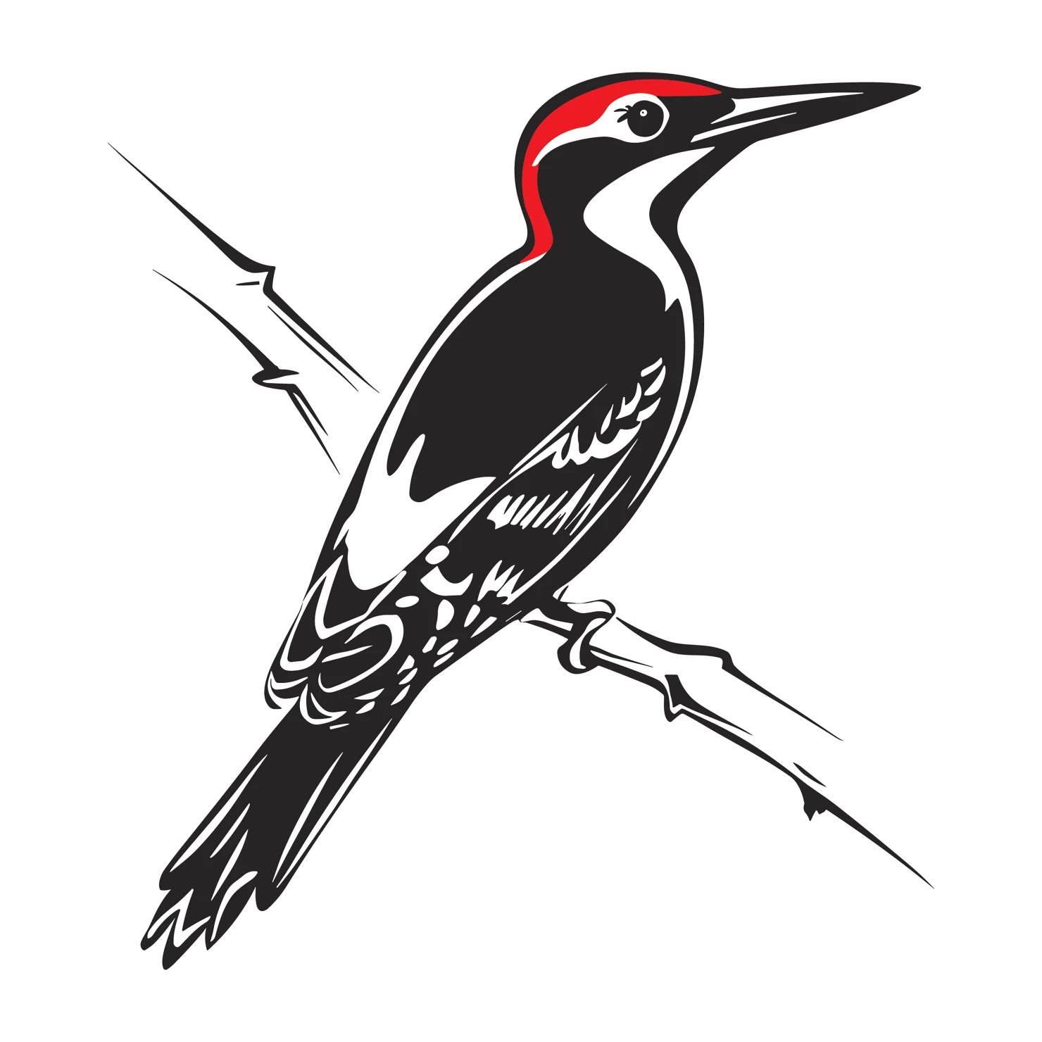 Woodpecker customizable clip art set design #36812