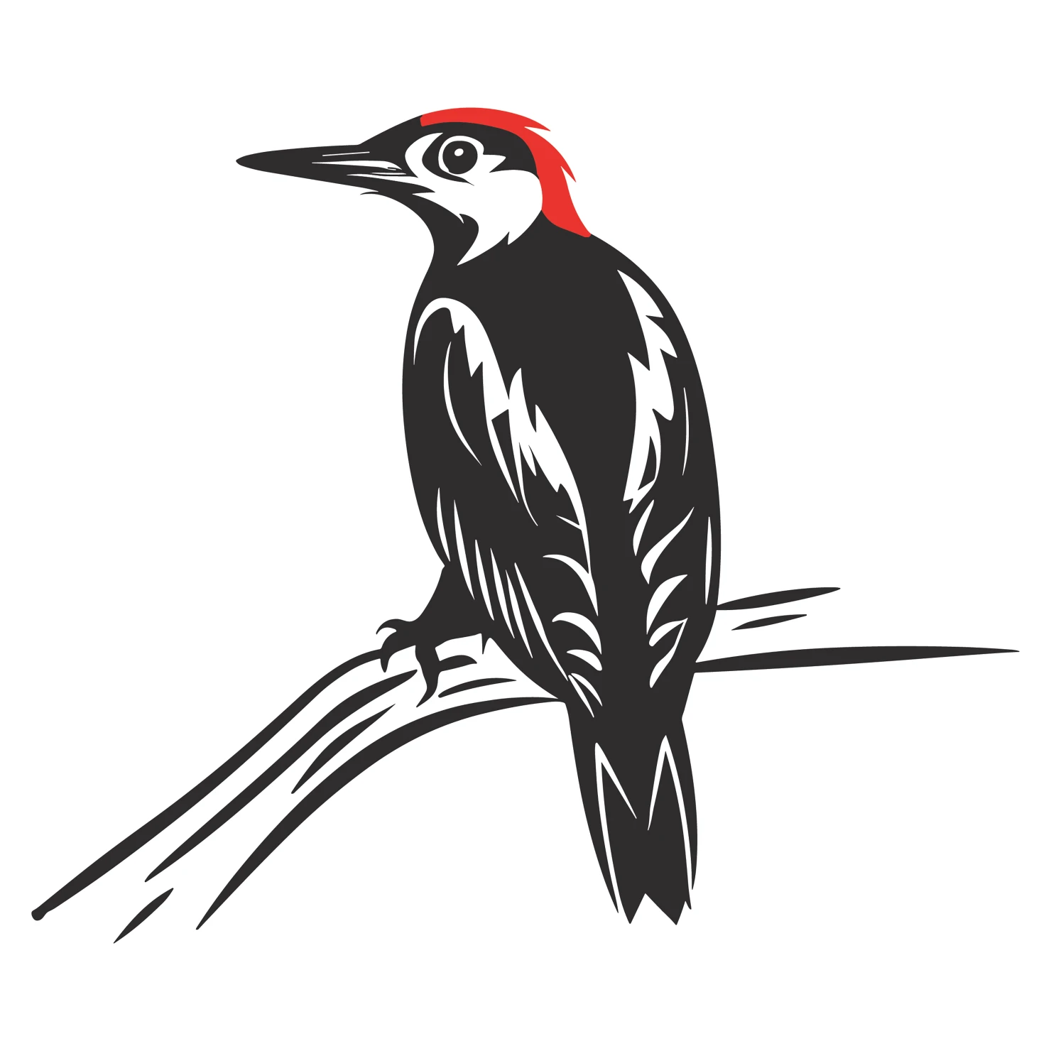 Woodpecker customizable  clip art set design #36814
