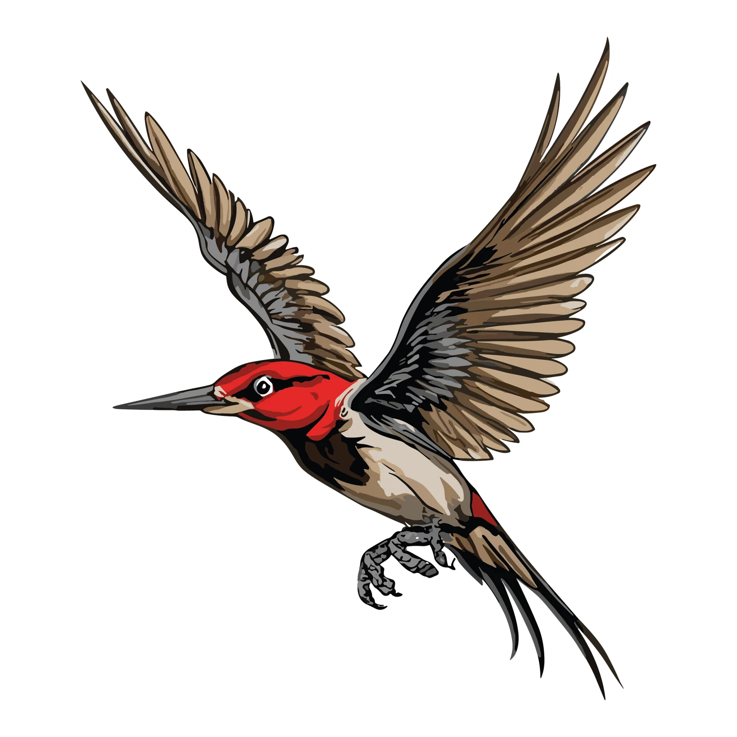 Woodpecker customizable  clip art set design #36816