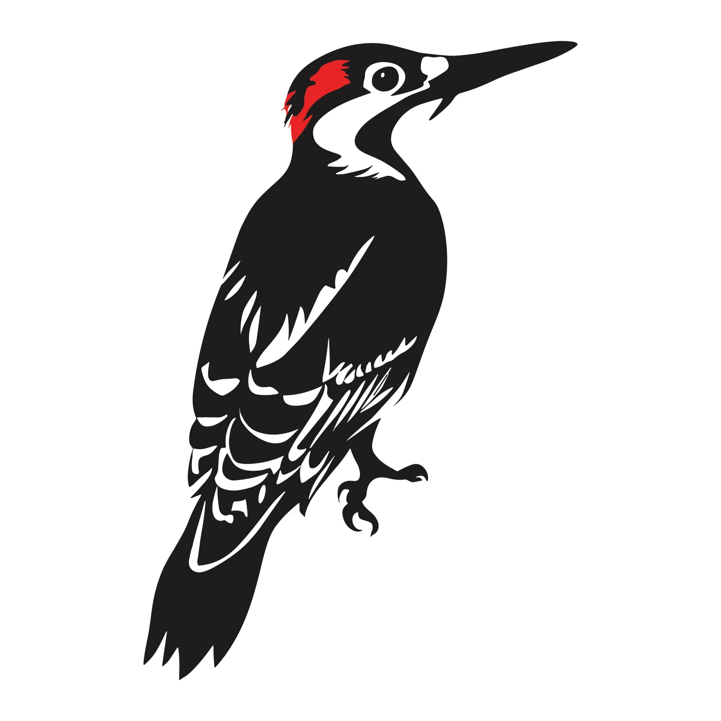 Woodpecker customizable  clip art set design #36817