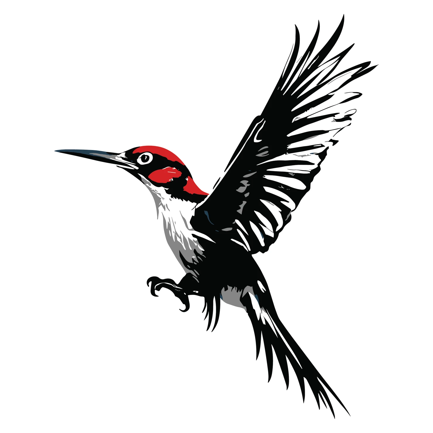 Woodpecker customizable  clip art set design #36818