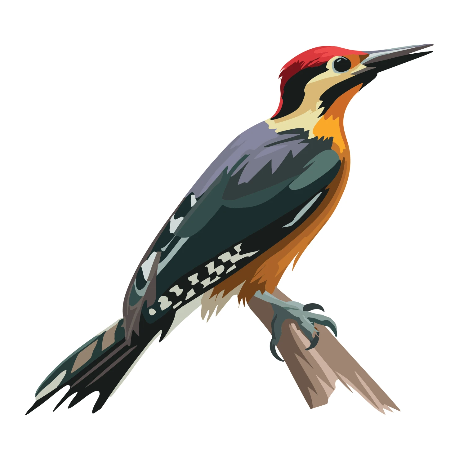 Woodpecker customizable clip art set design #36824