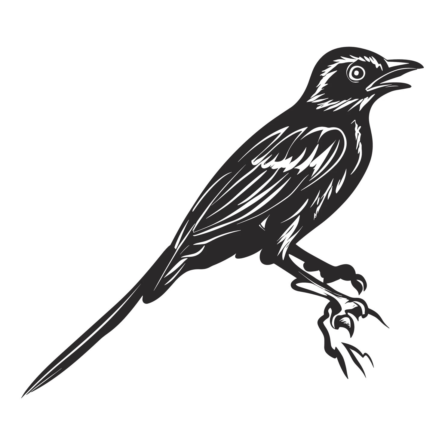 Drongo bird customizable clip art set design #36825