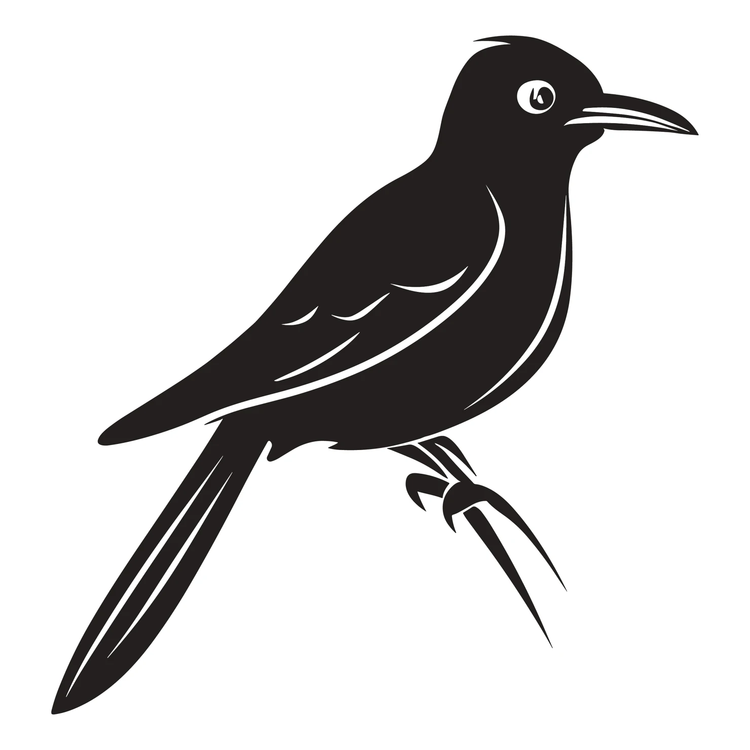 Drongo bird customizable clip art set design #36826