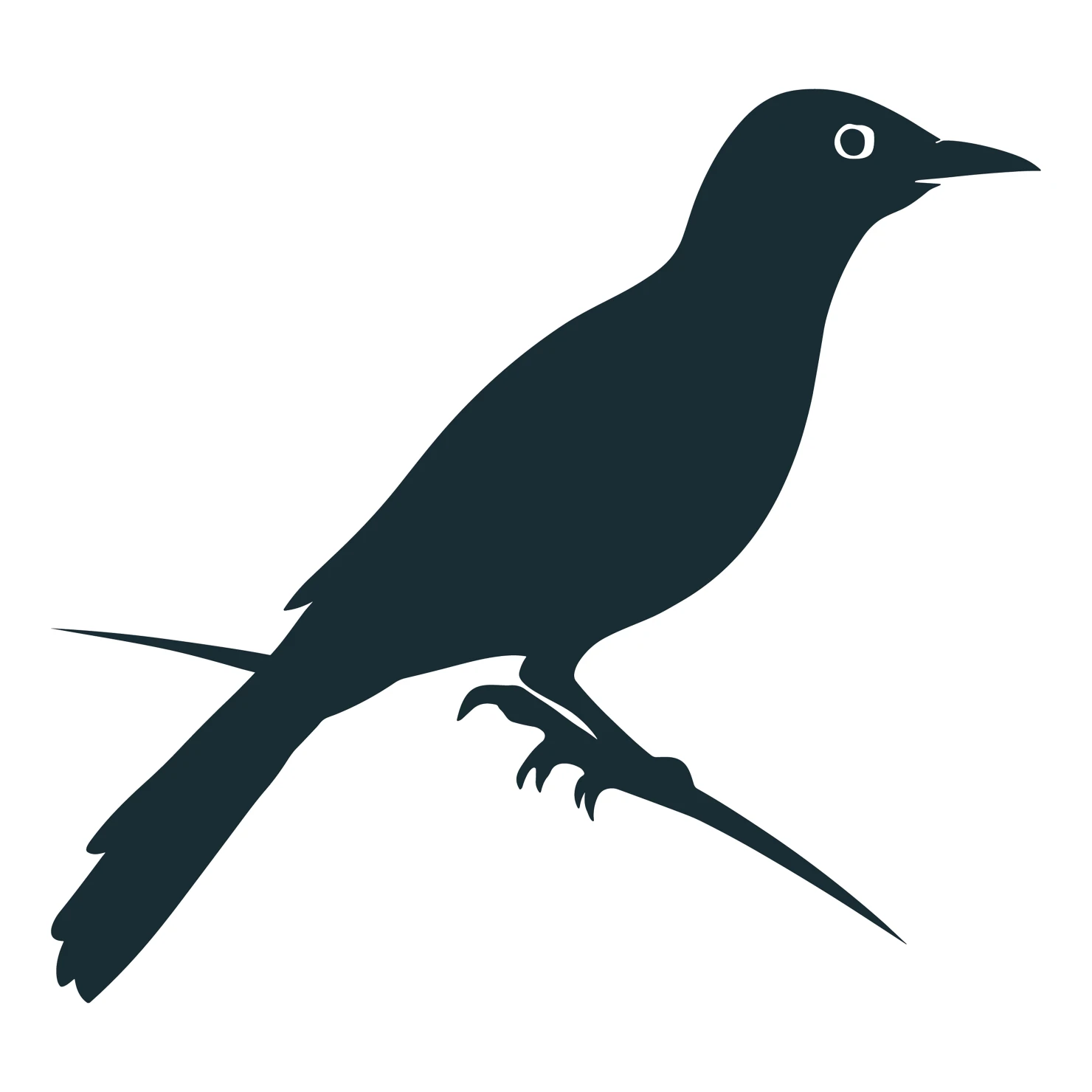 Drongo bird customizable silhouettes set design #36827