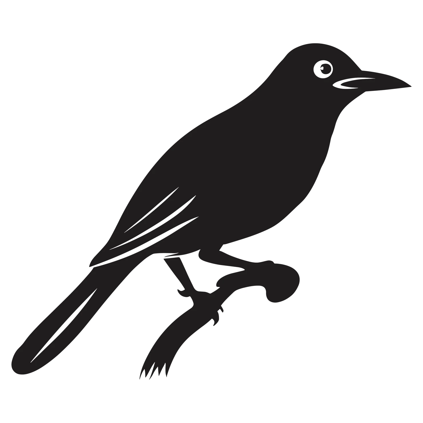 Drongo bird customizable silhouettes set design #36830