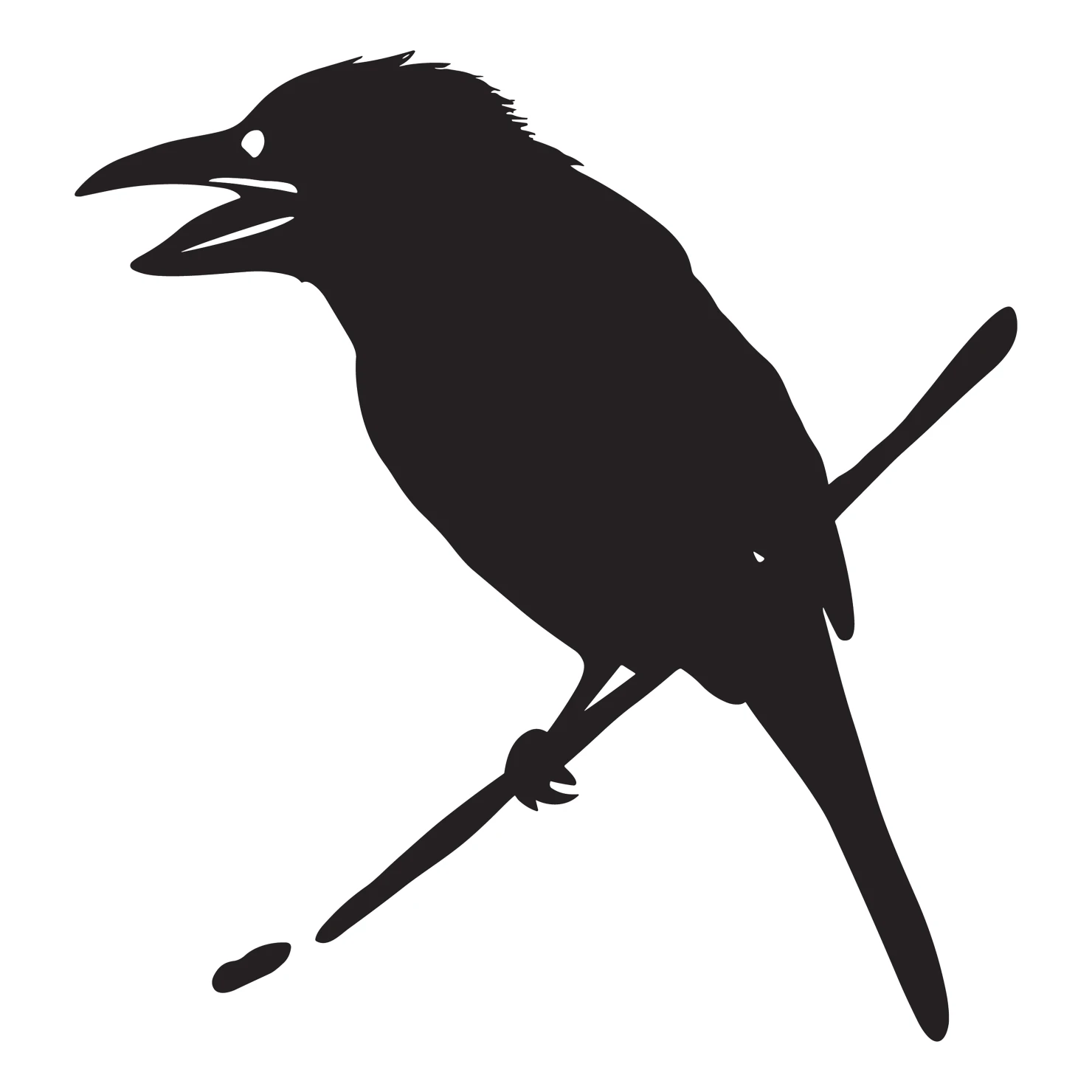 Drongo bird customizable silhouettes set design #36832