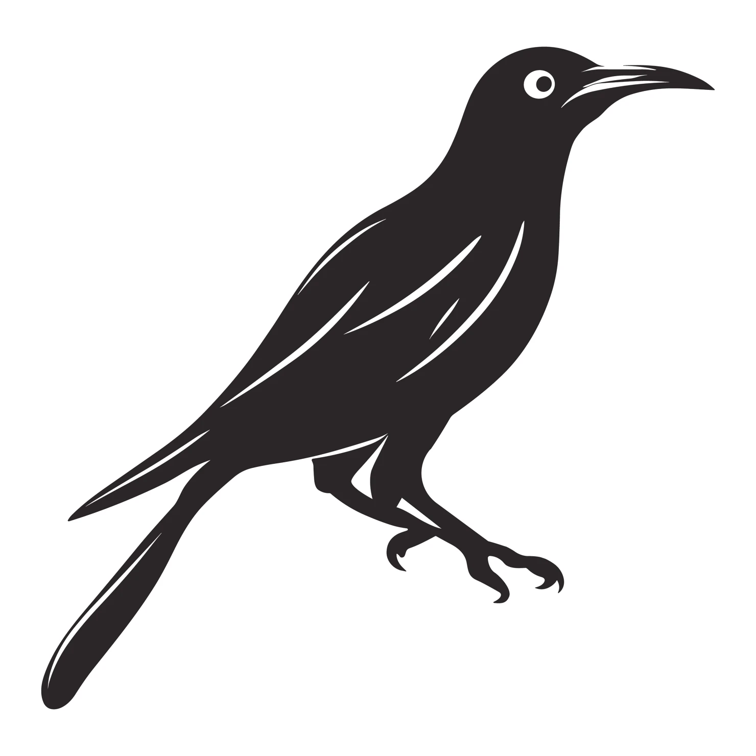 Drongo bird customizable silhouettes set design #36833