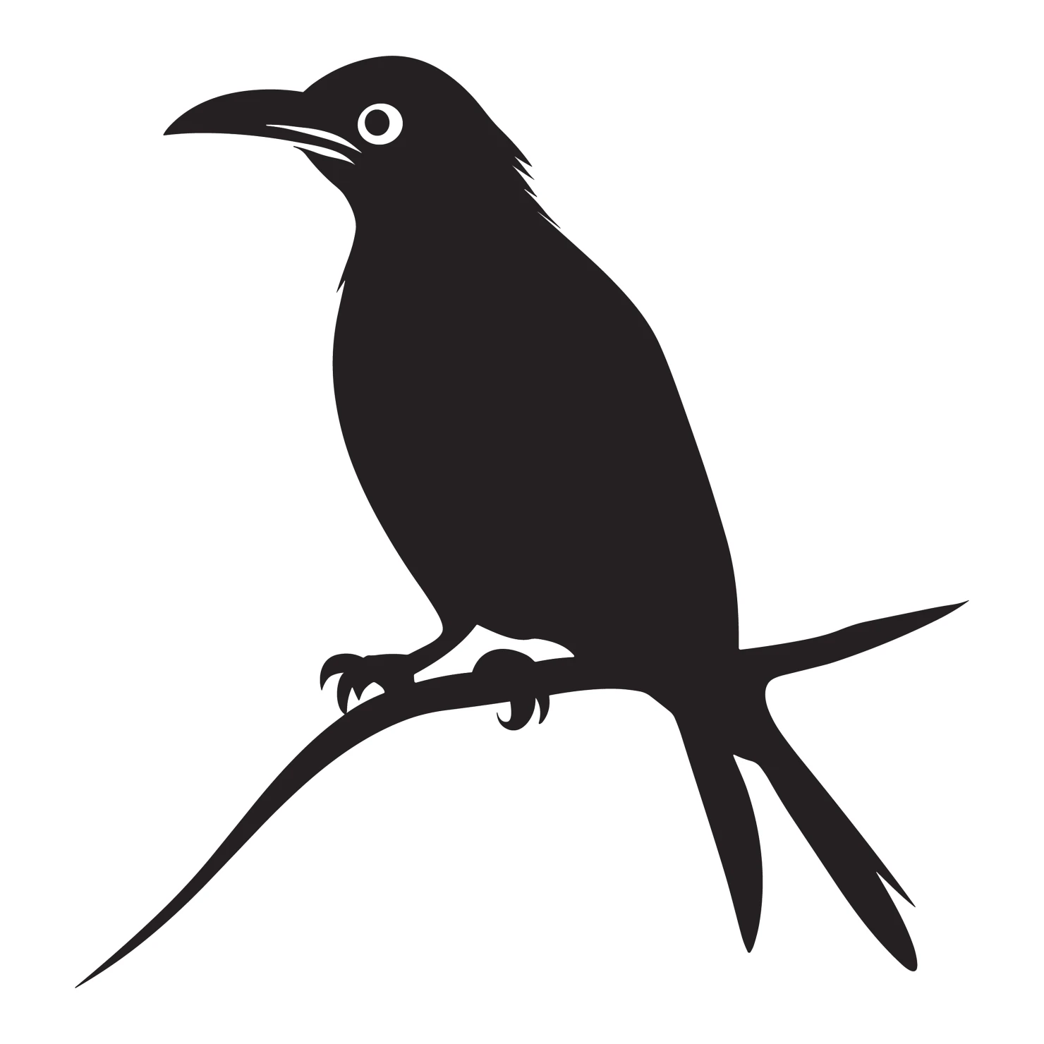 Drongo bird customizable silhouettes set design #36835