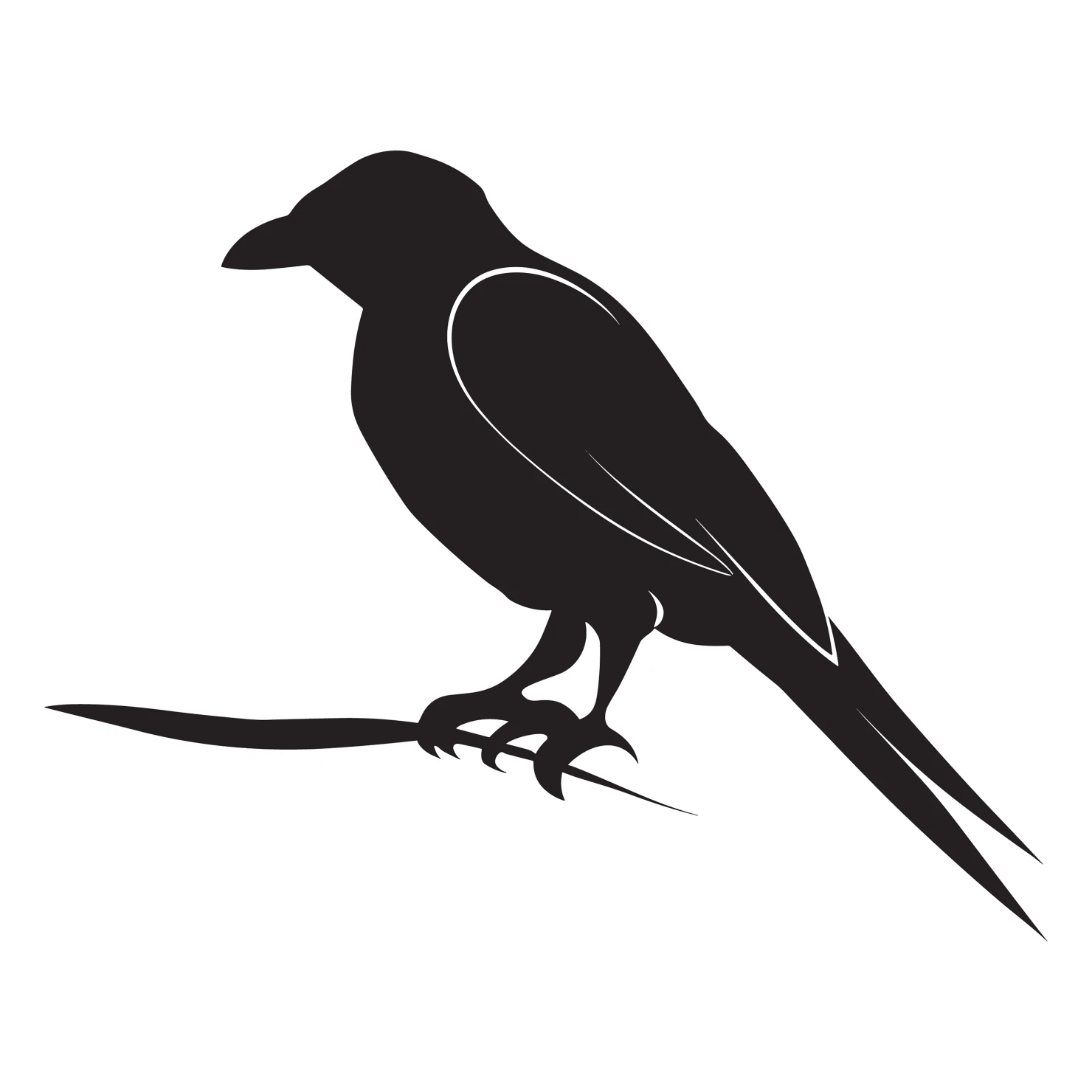 Drongo bird customizable silhouettes set design #36836