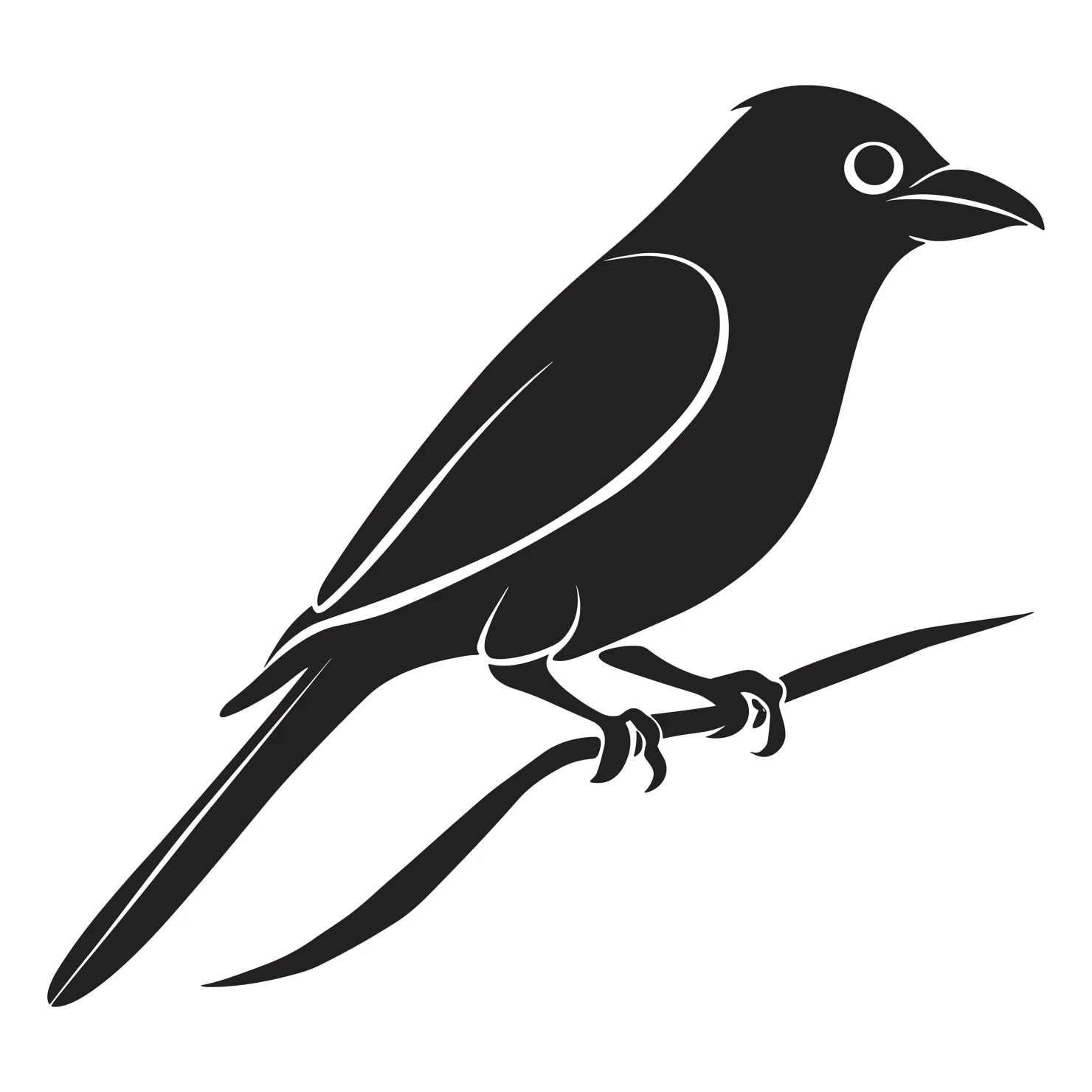 Drongo bird customizable silhouettes set design #36837