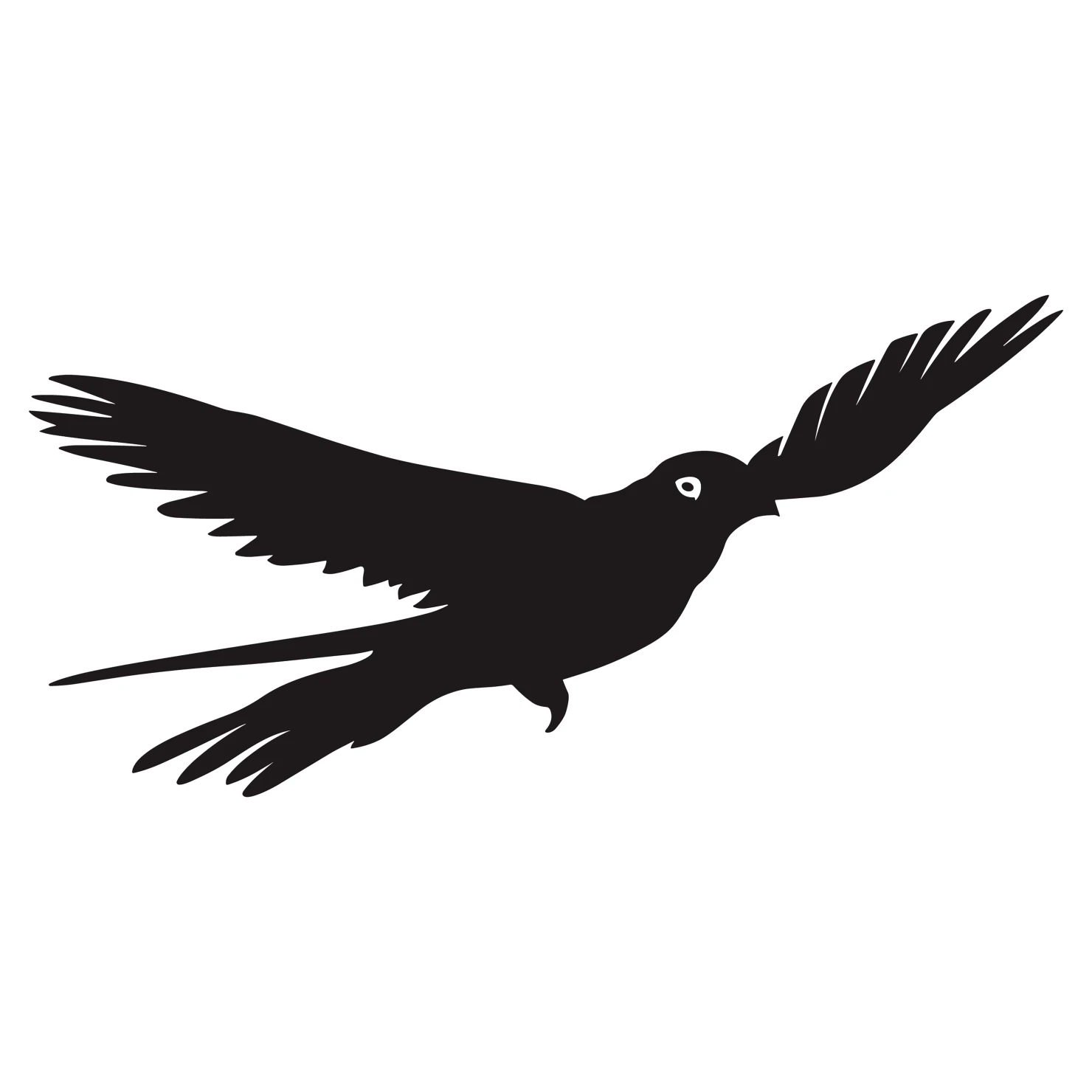 Drongo bird customizable silhouettes set design #36841