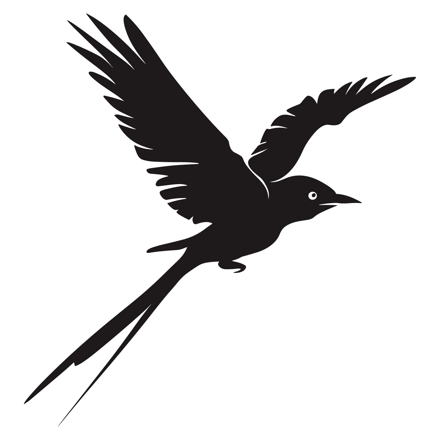 Drongo bird customizable silhouettes set design #36842