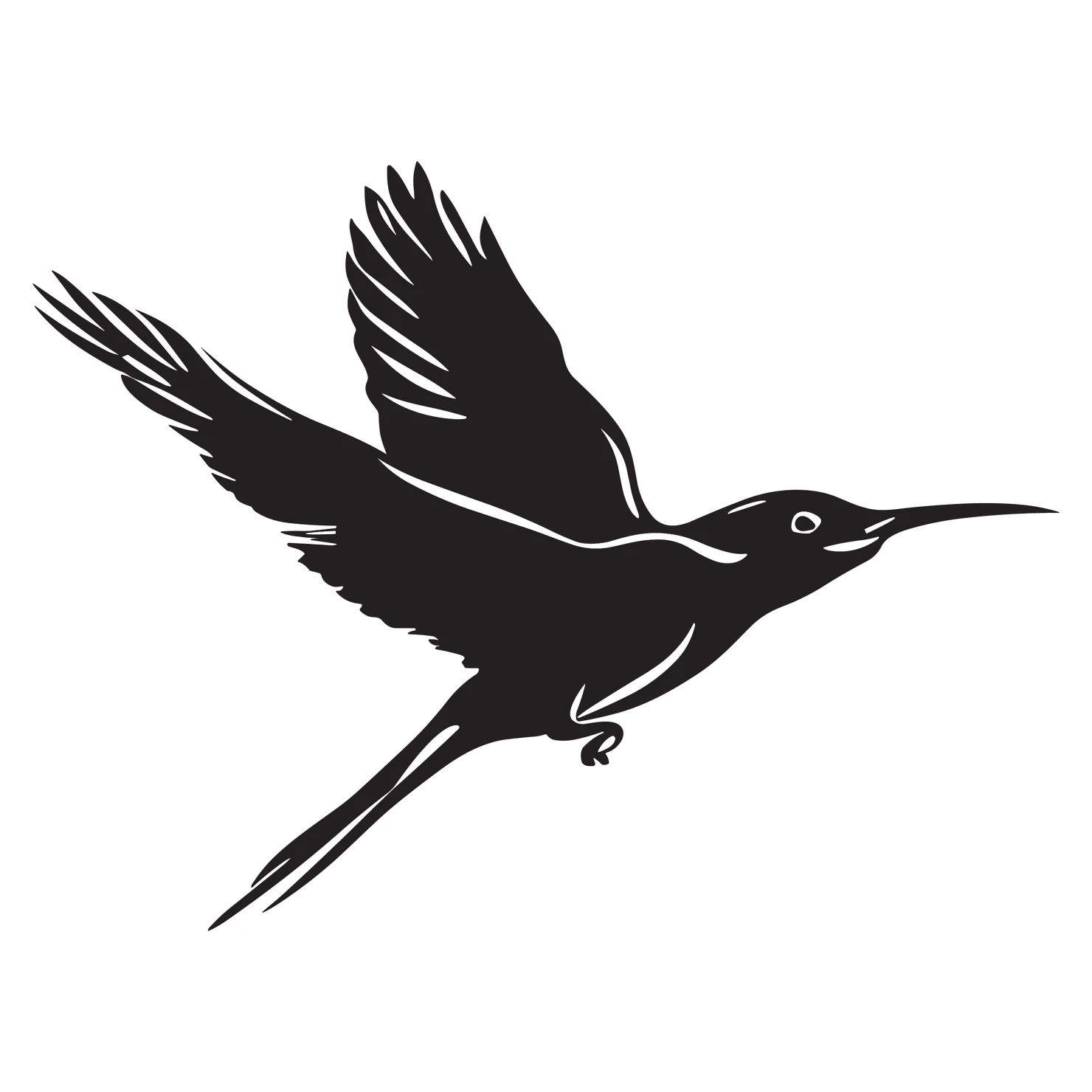Drongo bird customizable silhouettes set design #36843