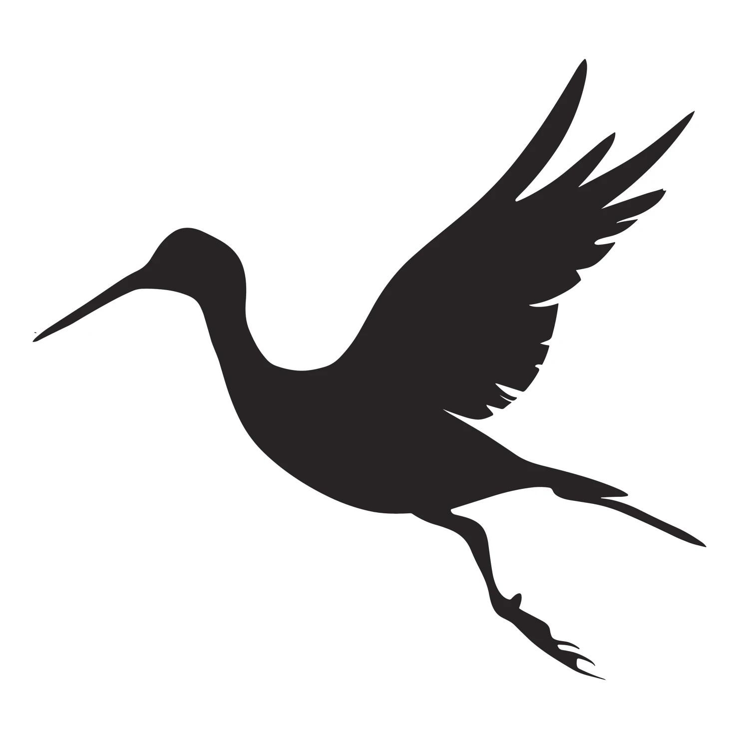Drongo customizable silhouettes set design #36850