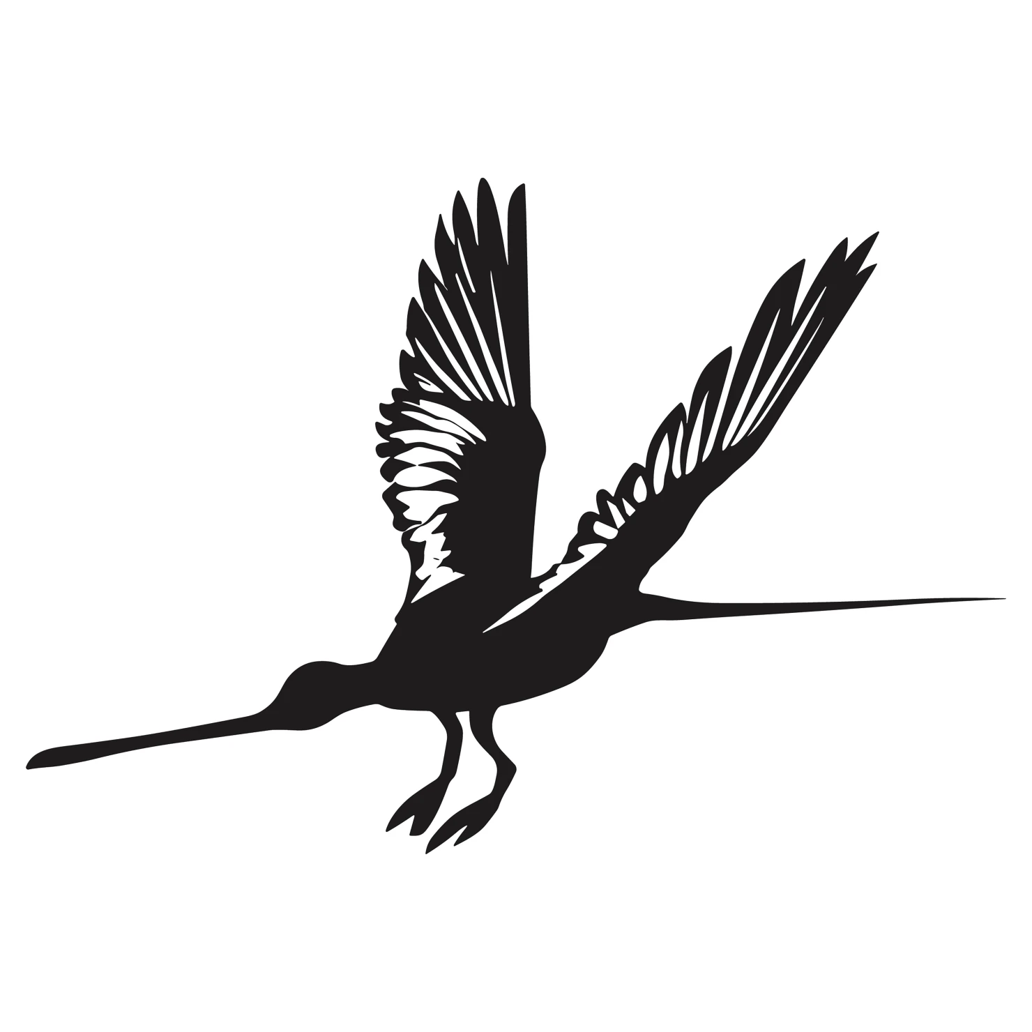 Drongo customizable silhouettes  set design #36851
