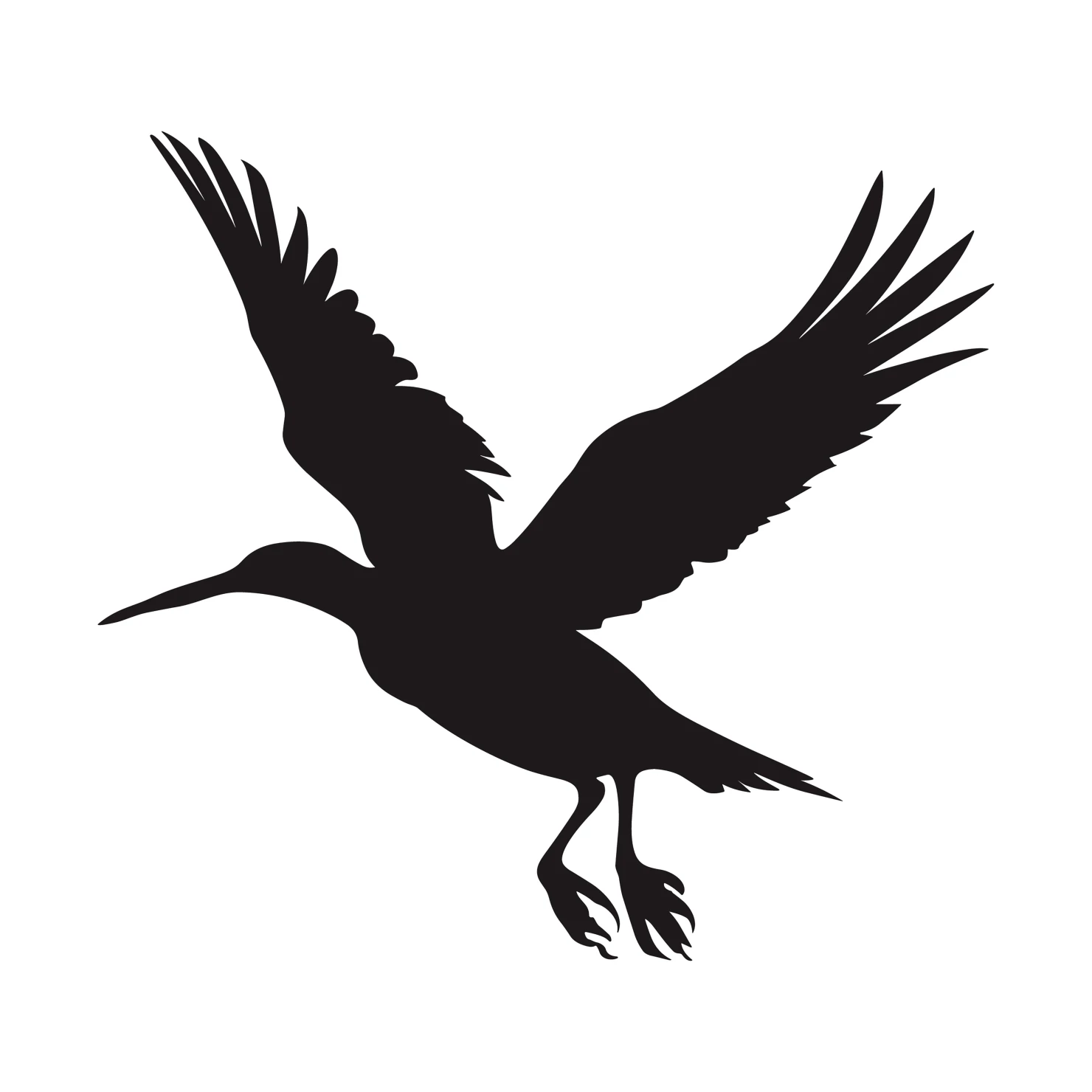 Drongo customizable silhouettes set design #36853