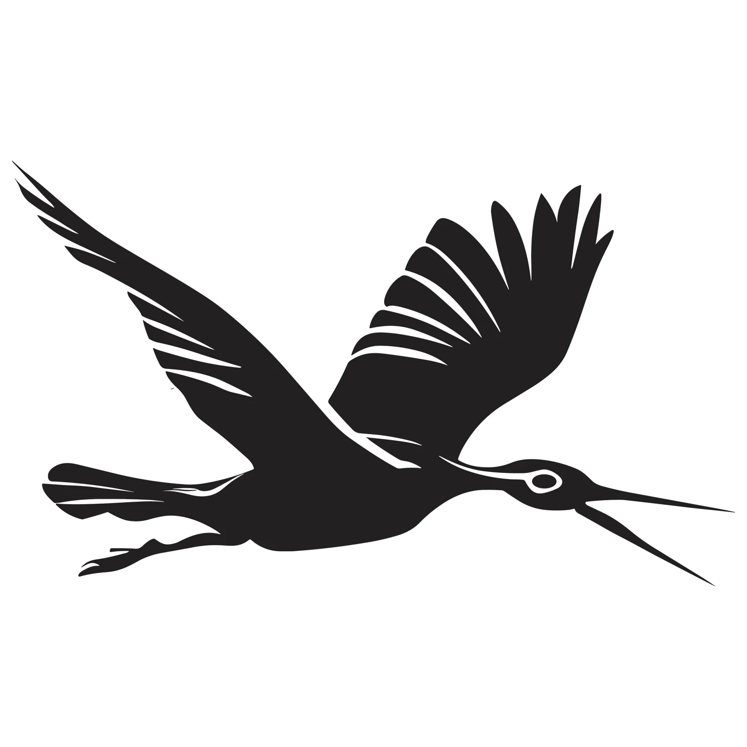 Drongo customizable silhouettes set design #36857
