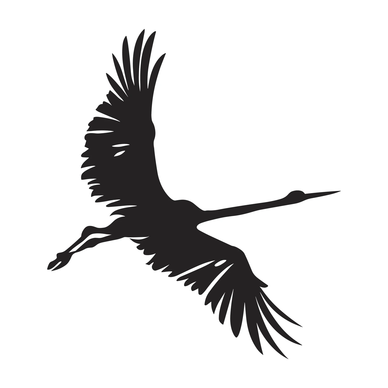 Drongo customizable silhouettes set design #36858