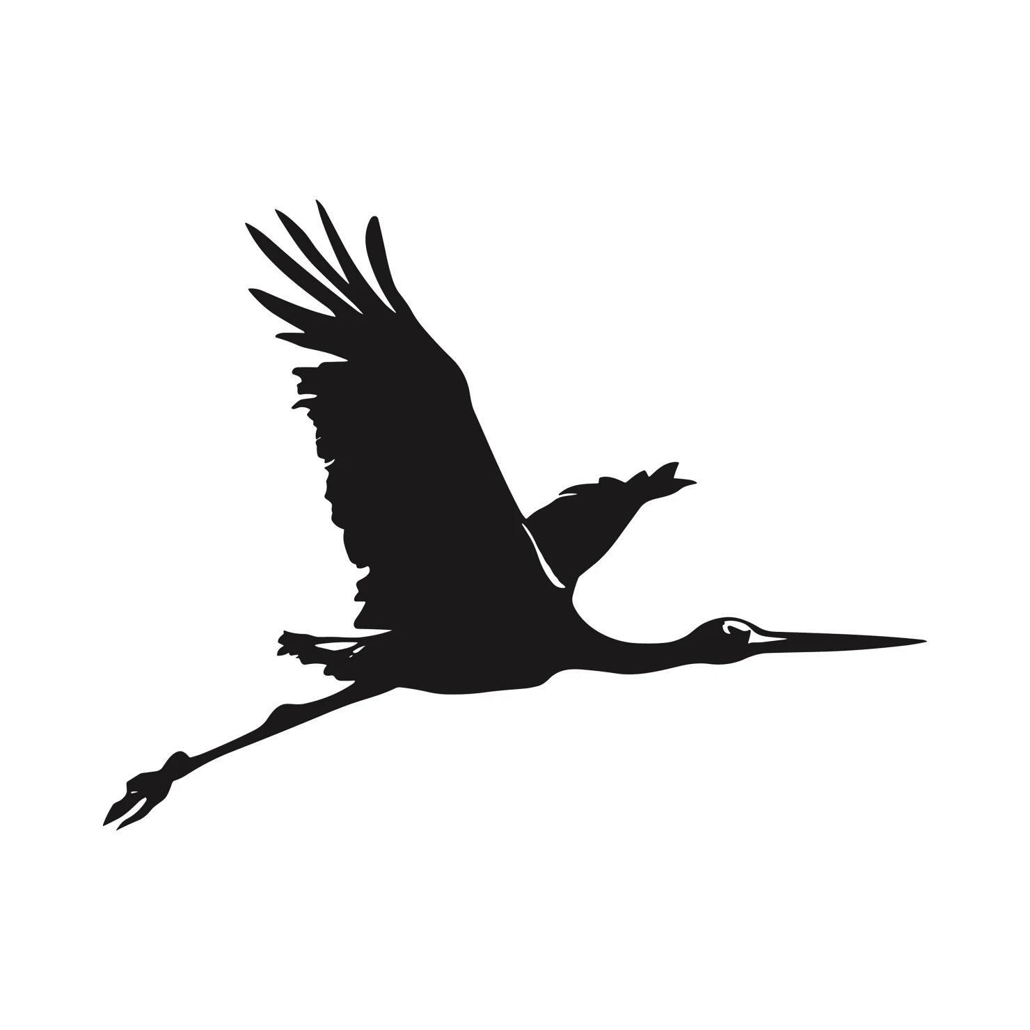 Drongo customizable silhouettes  set design #36859
