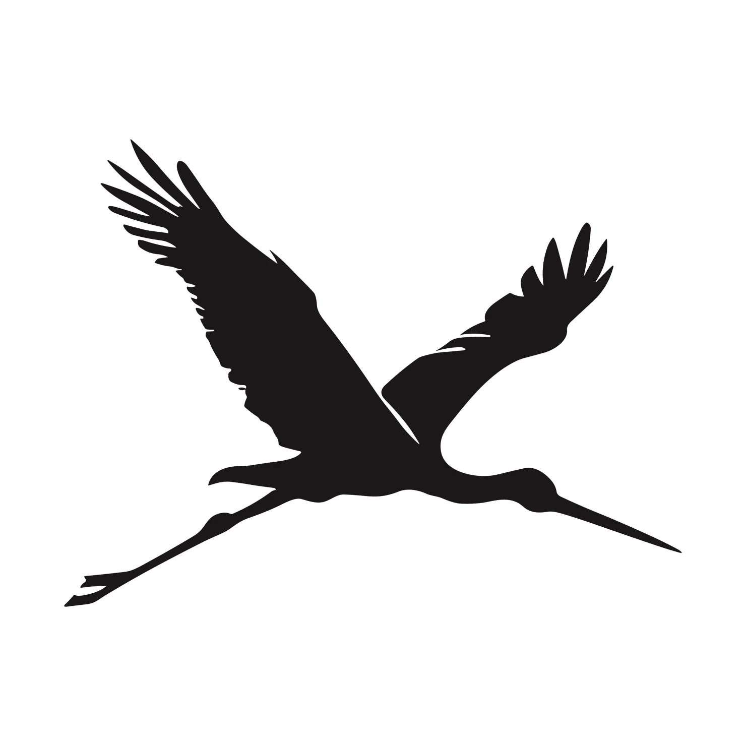 Drongo customizable silhouettes set design #36862